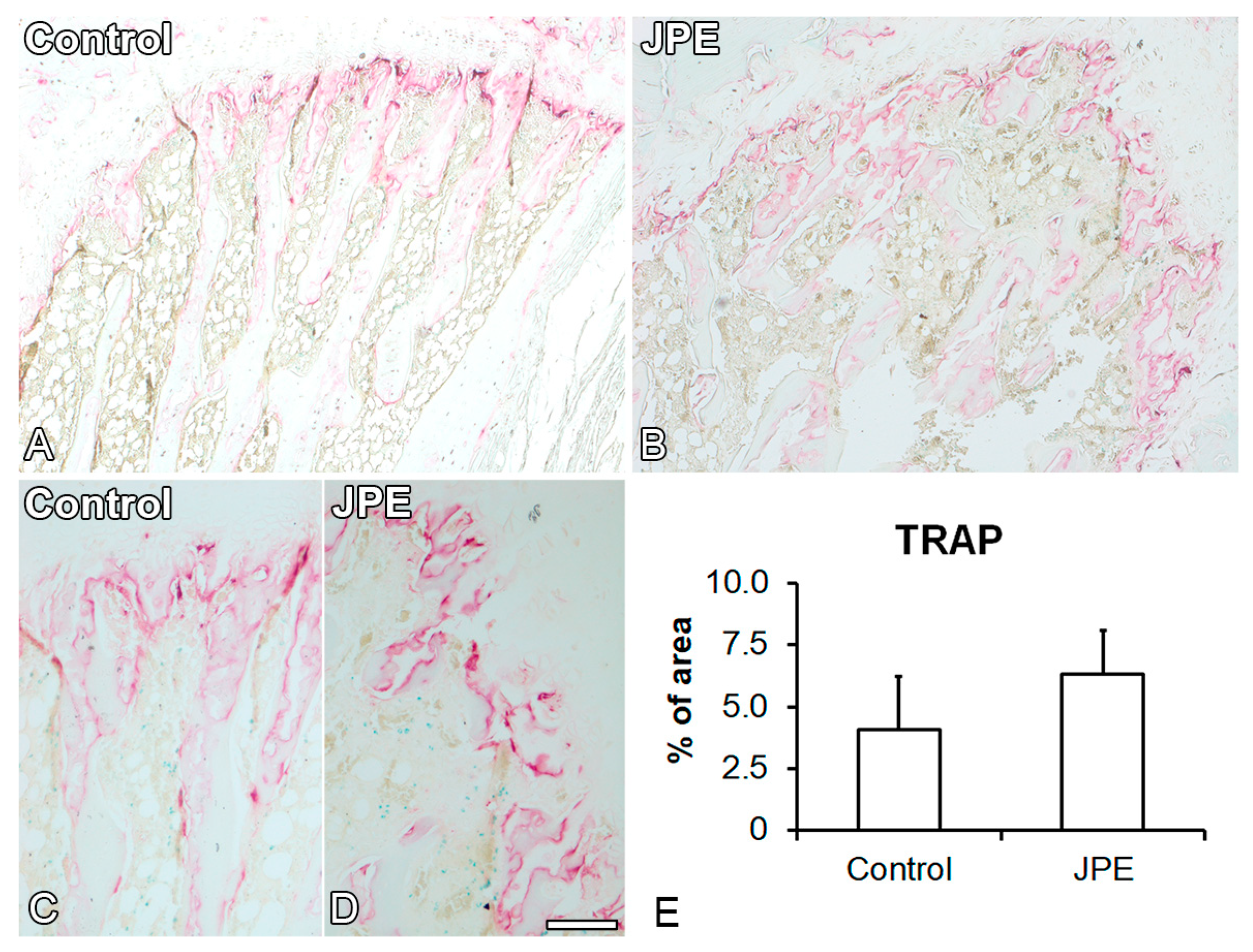 Biology 13 00526 g003