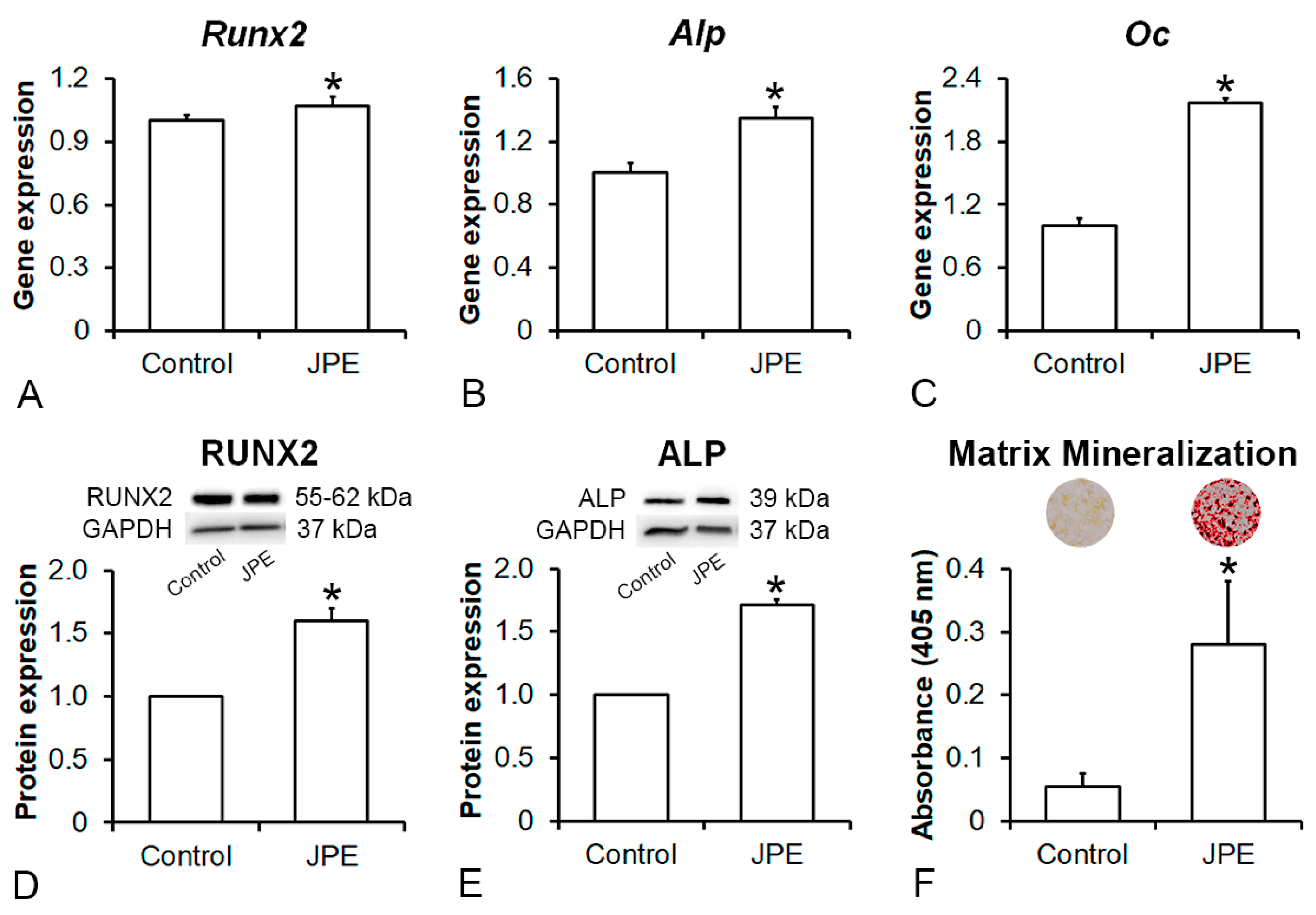 Biology 13 00526 g004