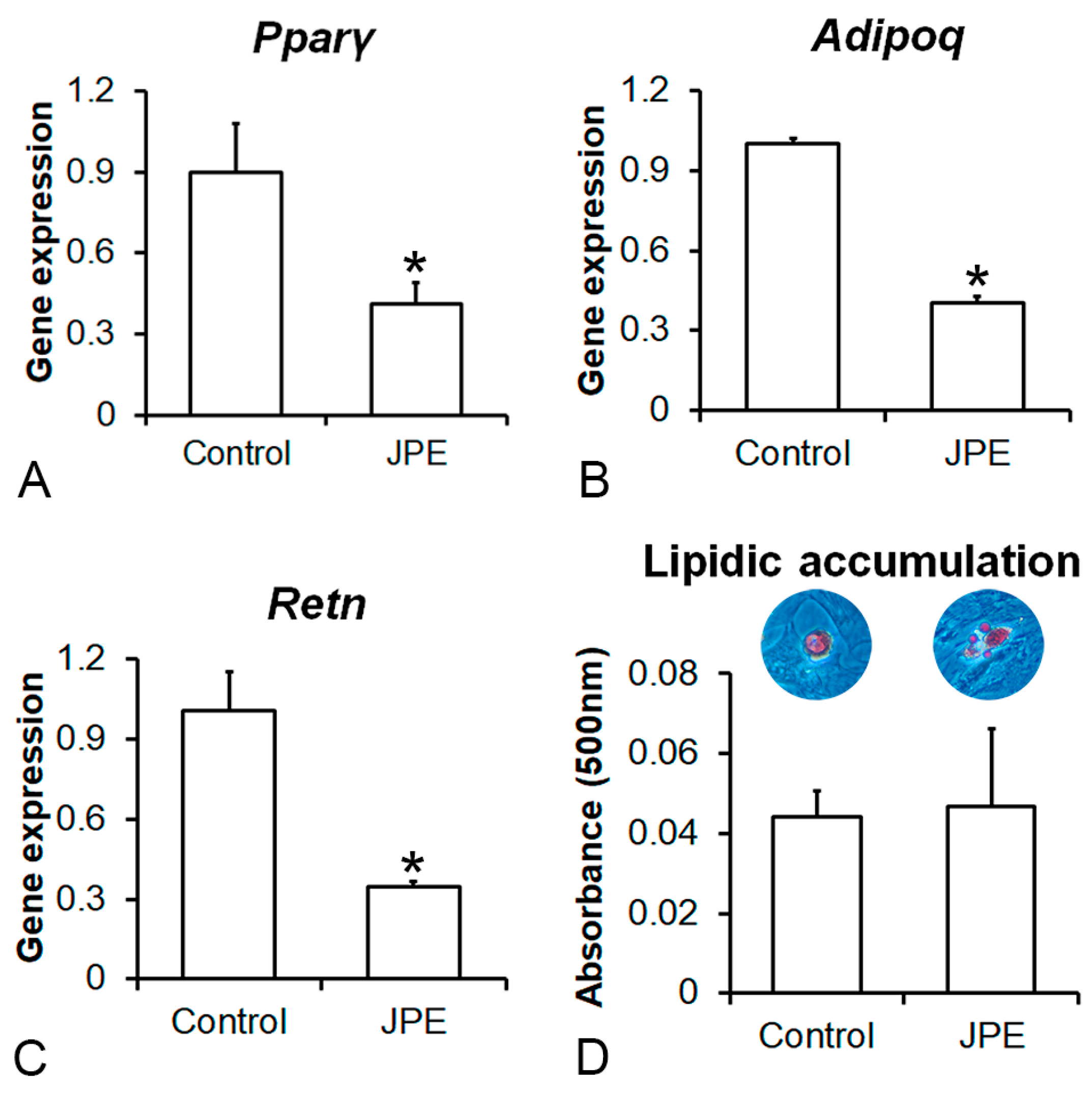 Biology 13 00526 g005