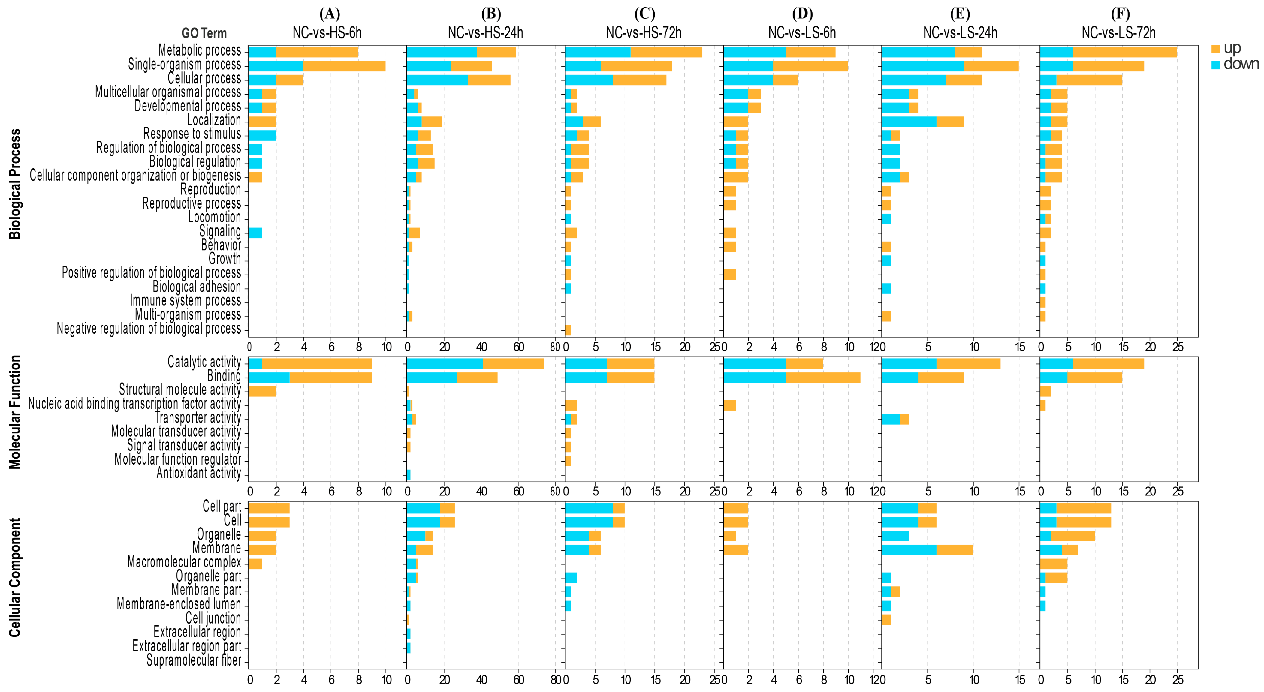 Biology 13 00530 g002