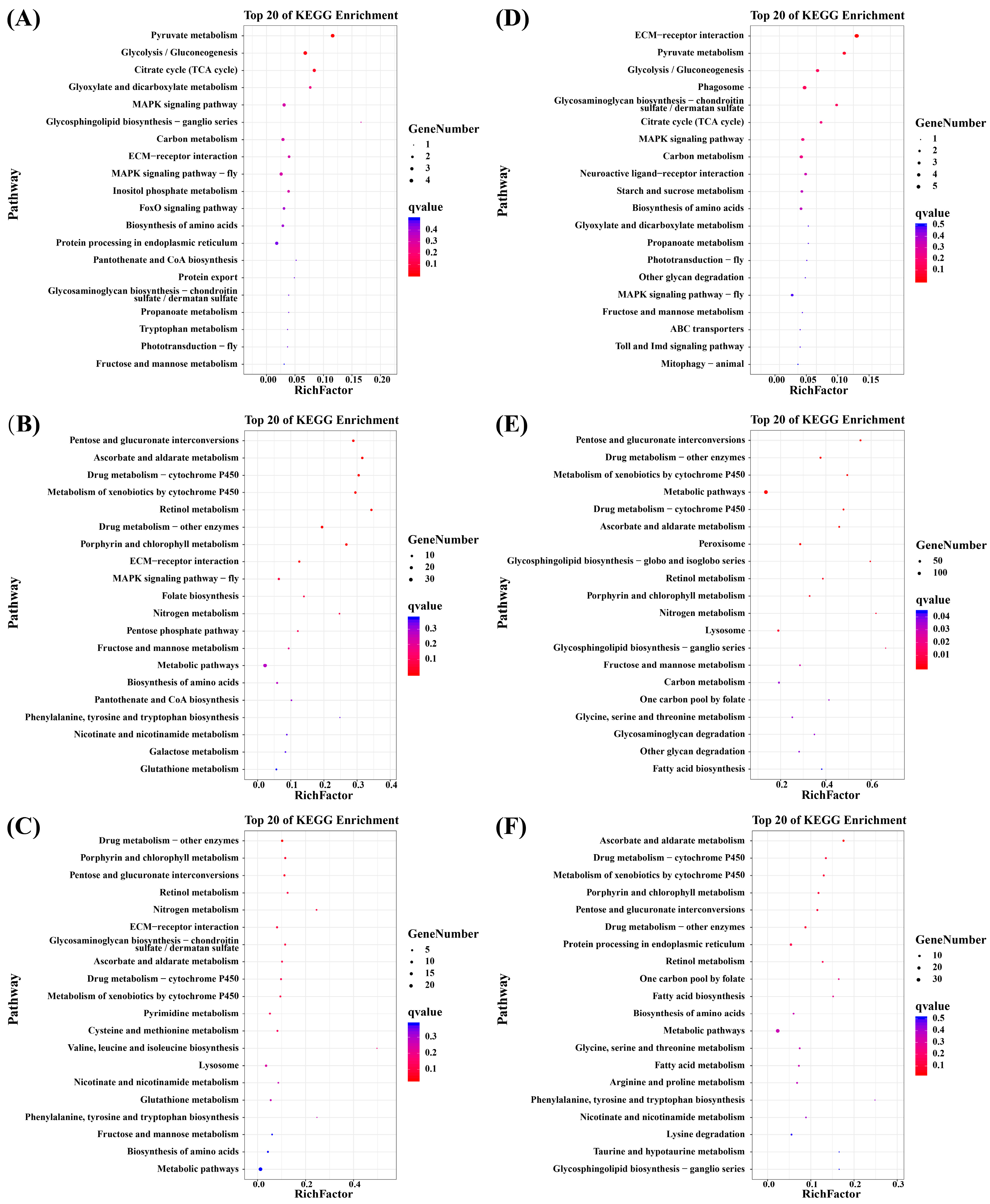 Biology 13 00530 g003