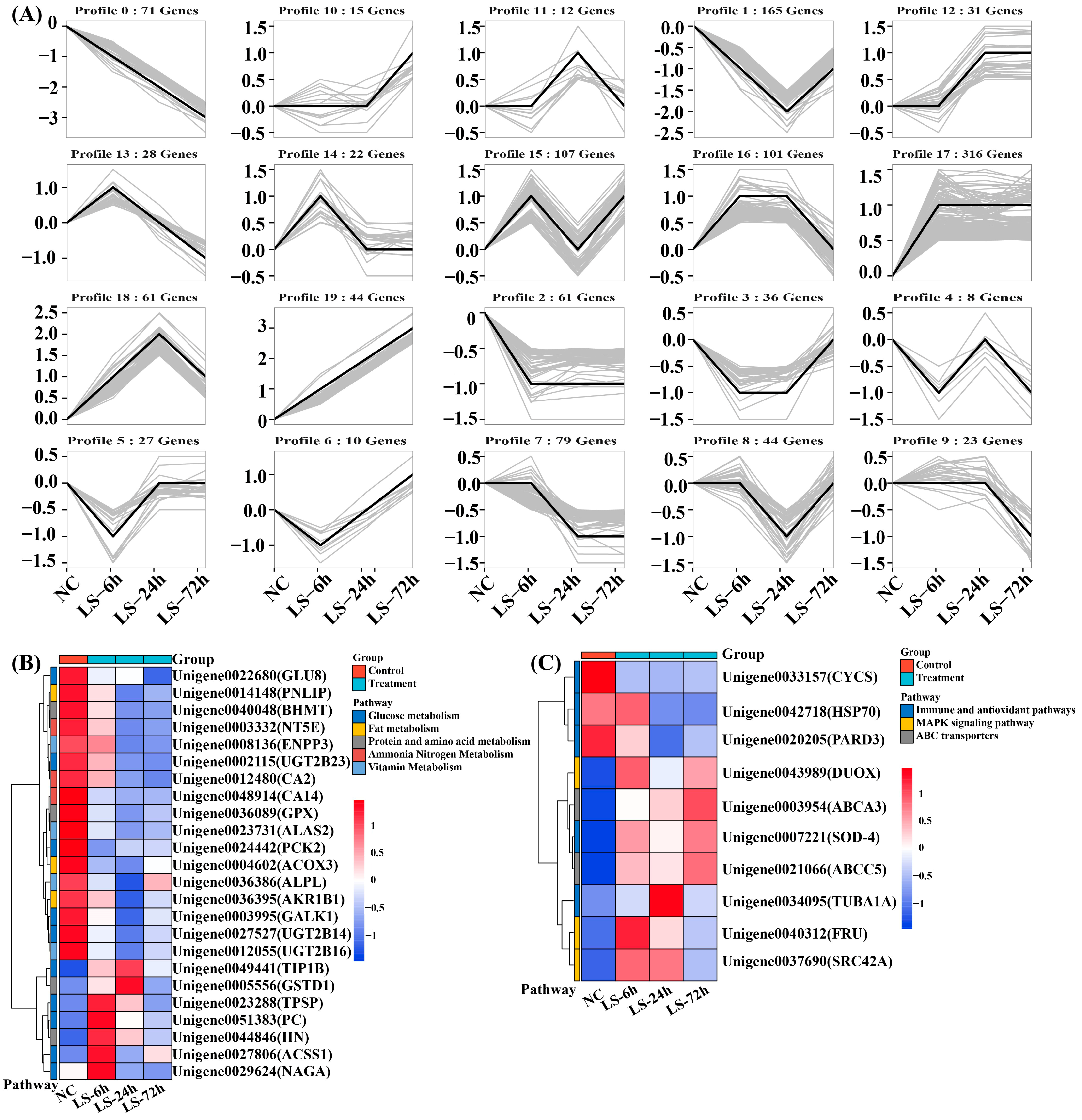 Biology 13 00530 g004