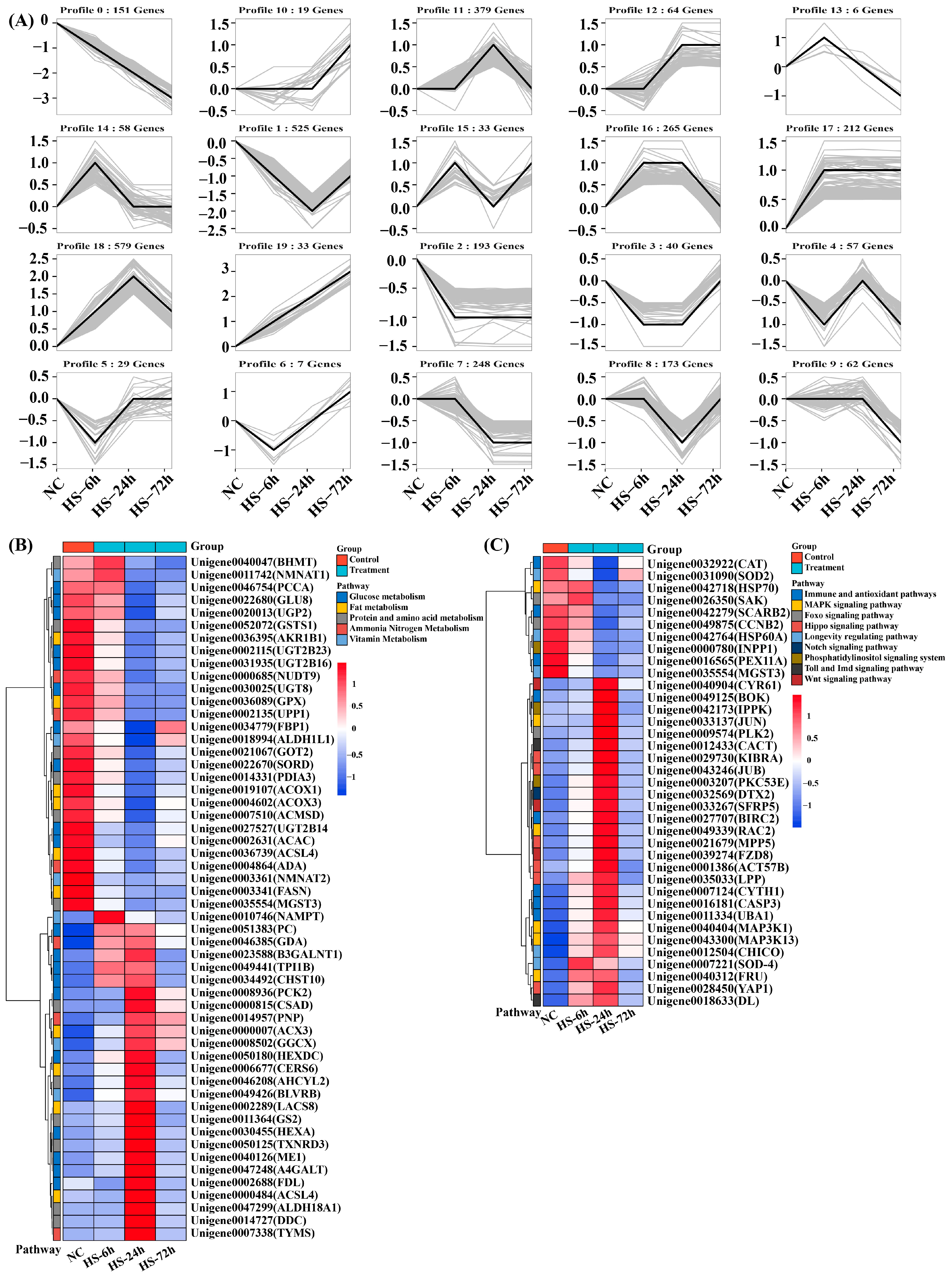 Biology 13 00530 g005