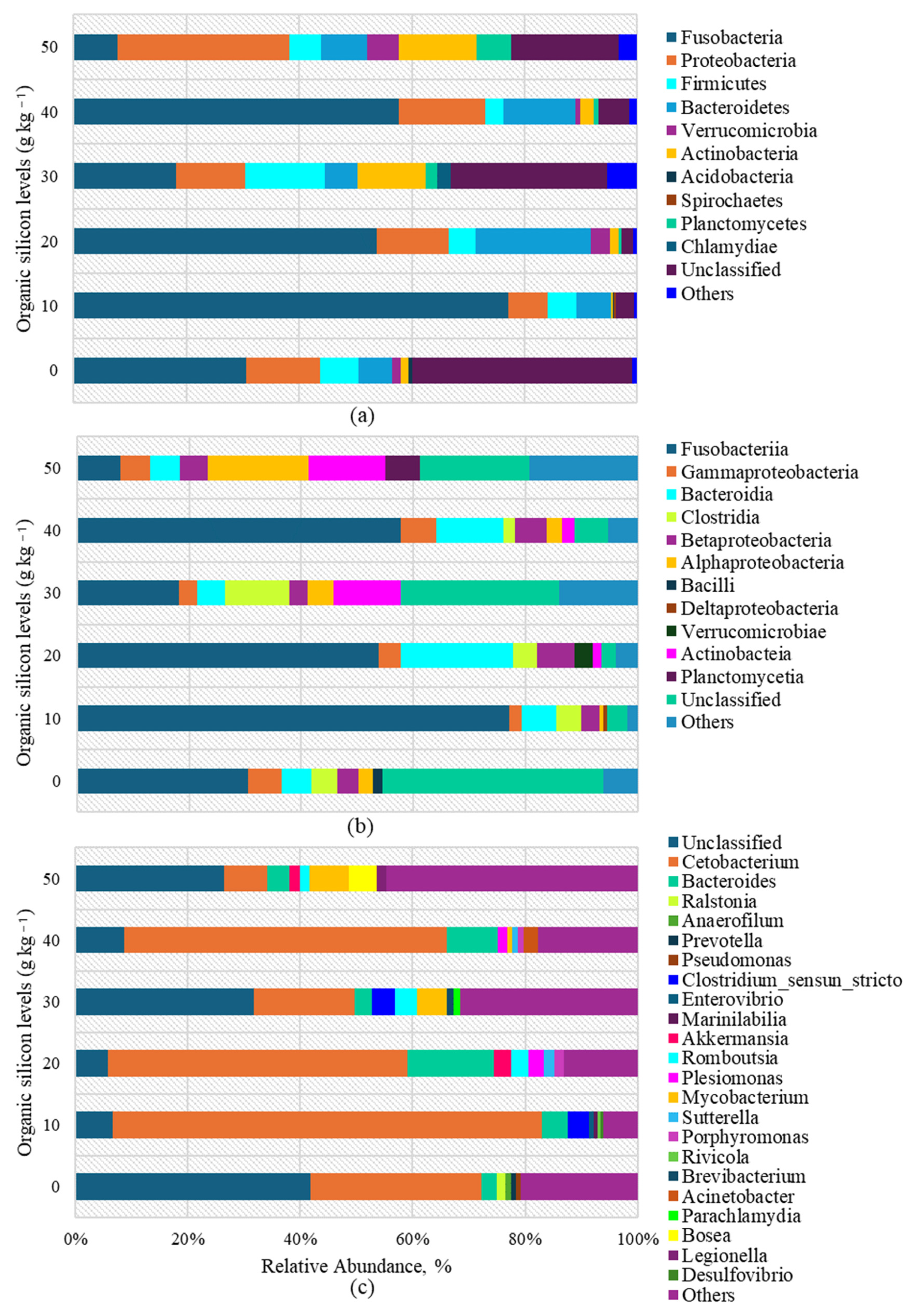 Biology 13 00531 g003
