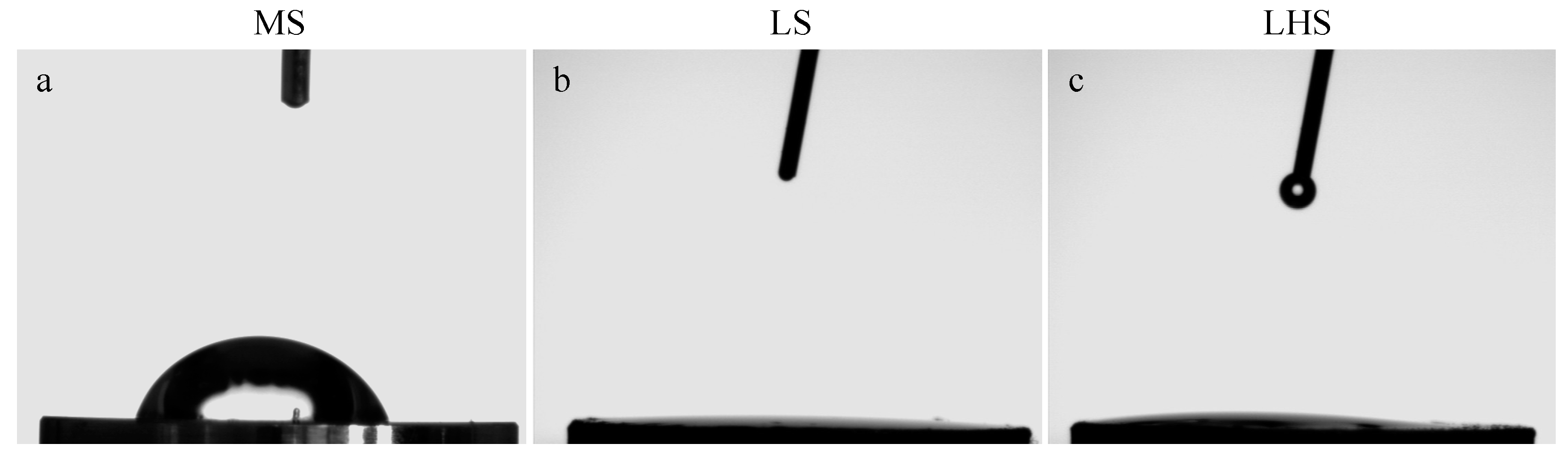 Biology 13 00533 g002