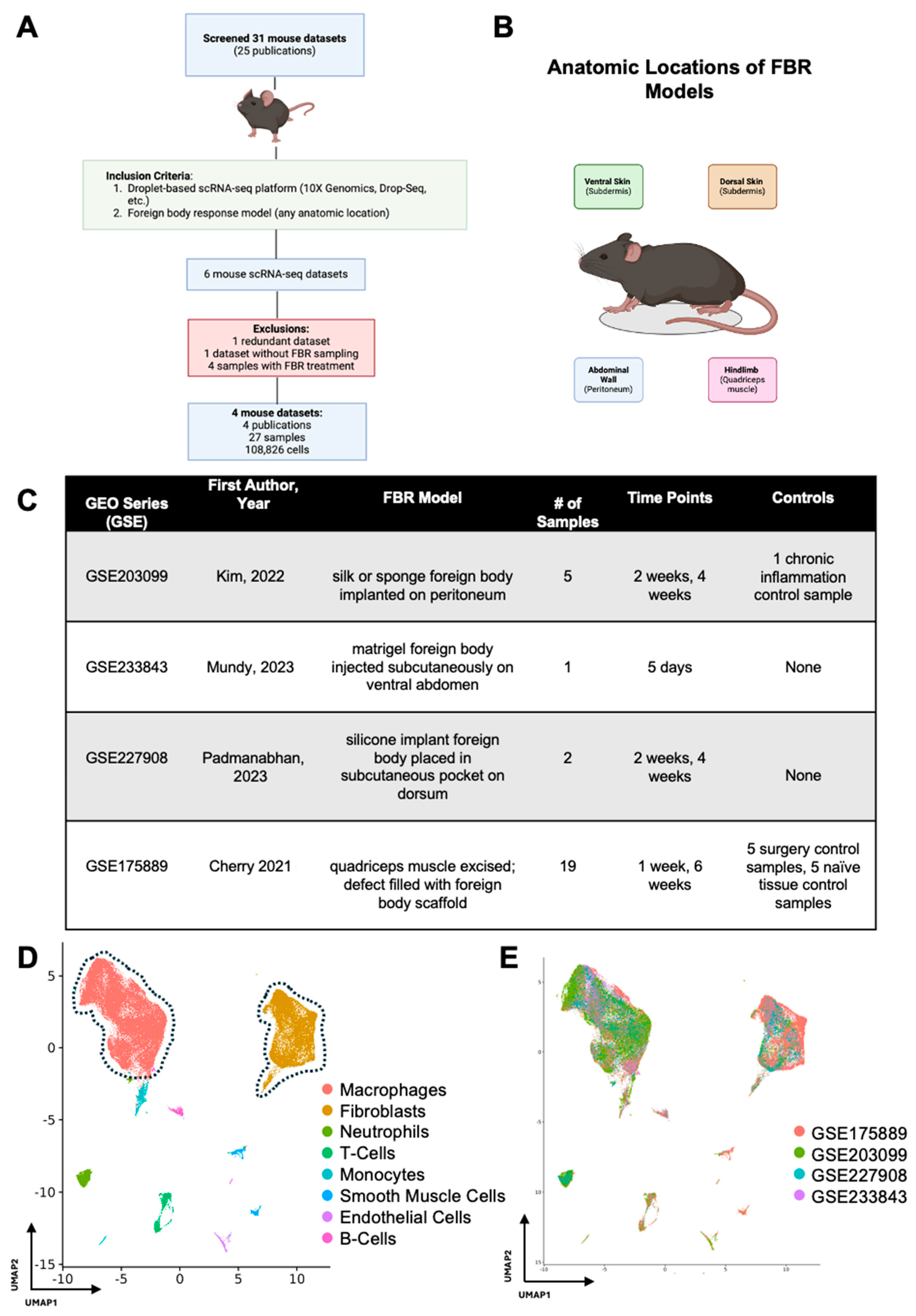 Biology 13 00540 g001