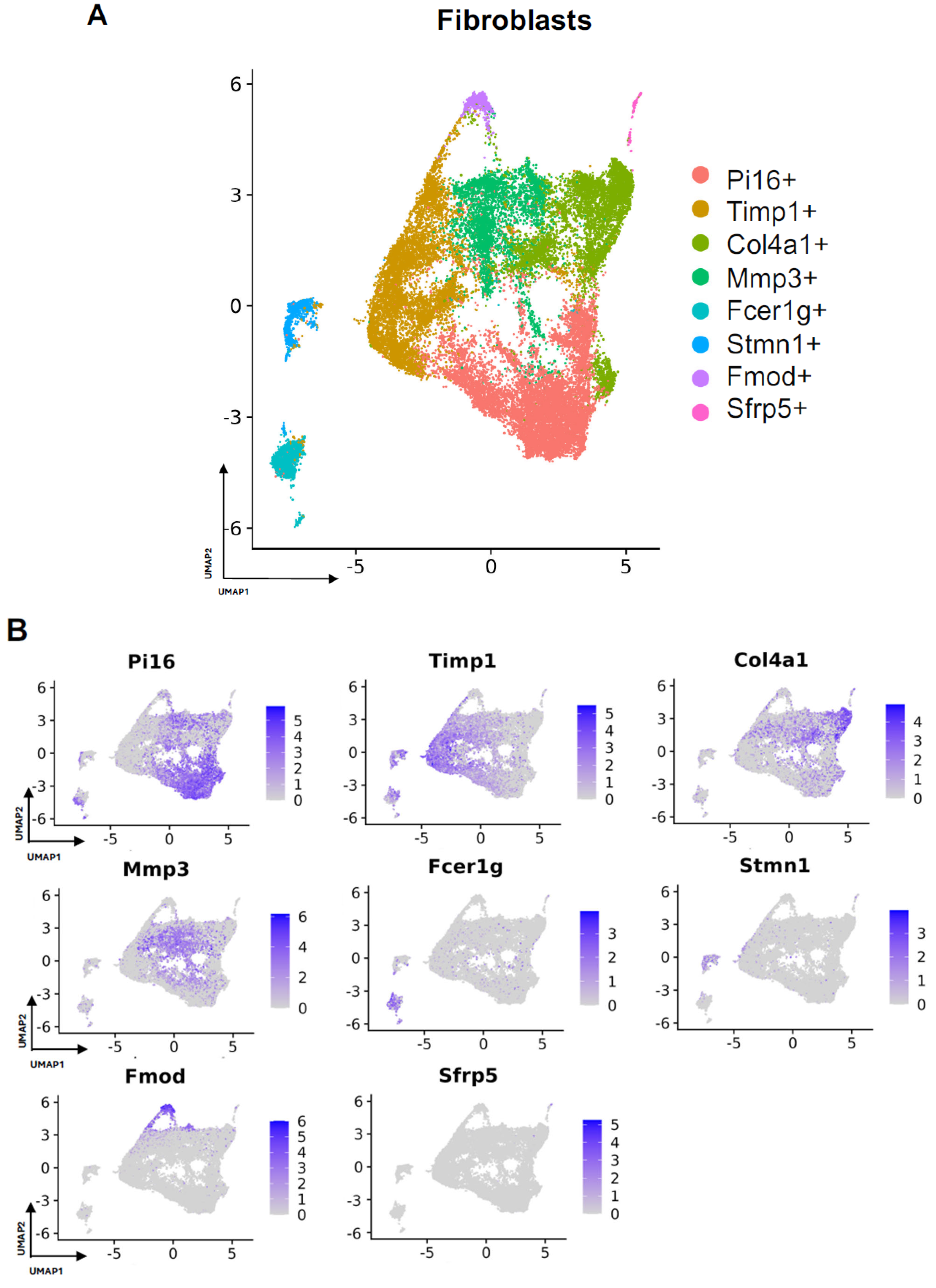 Biology 13 00540 g002