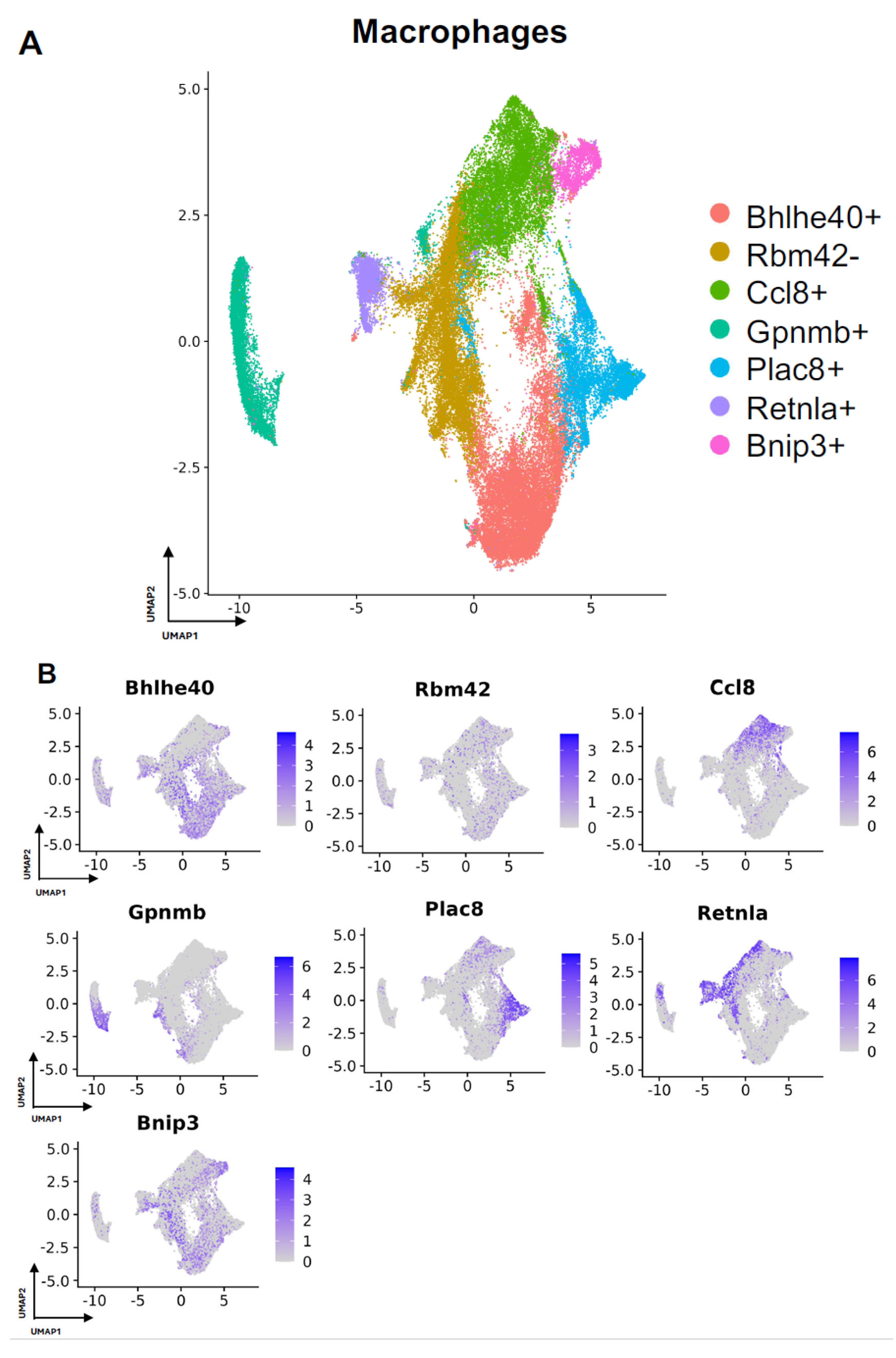 Biology 13 00540 g004