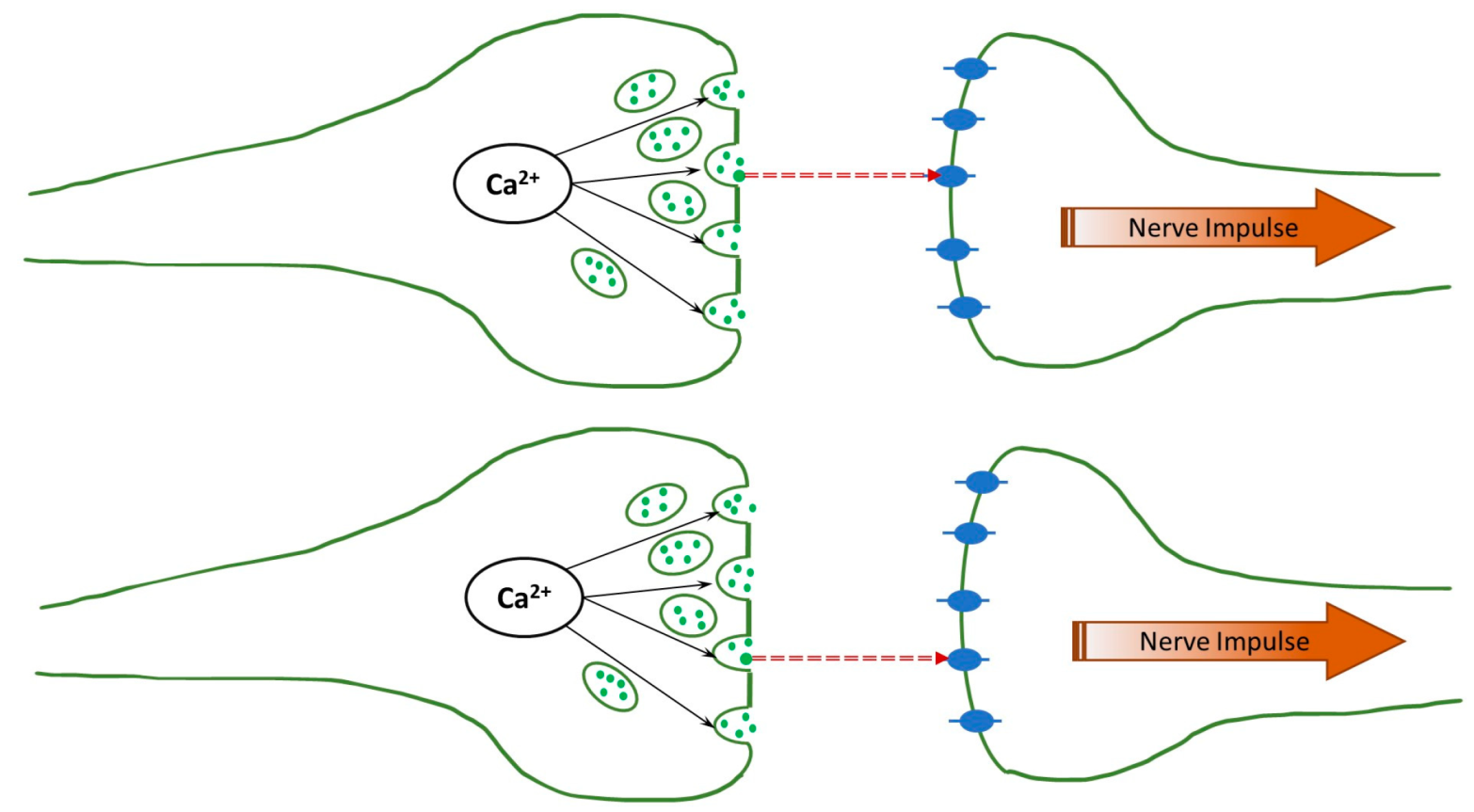 Biology 13 00541 g001