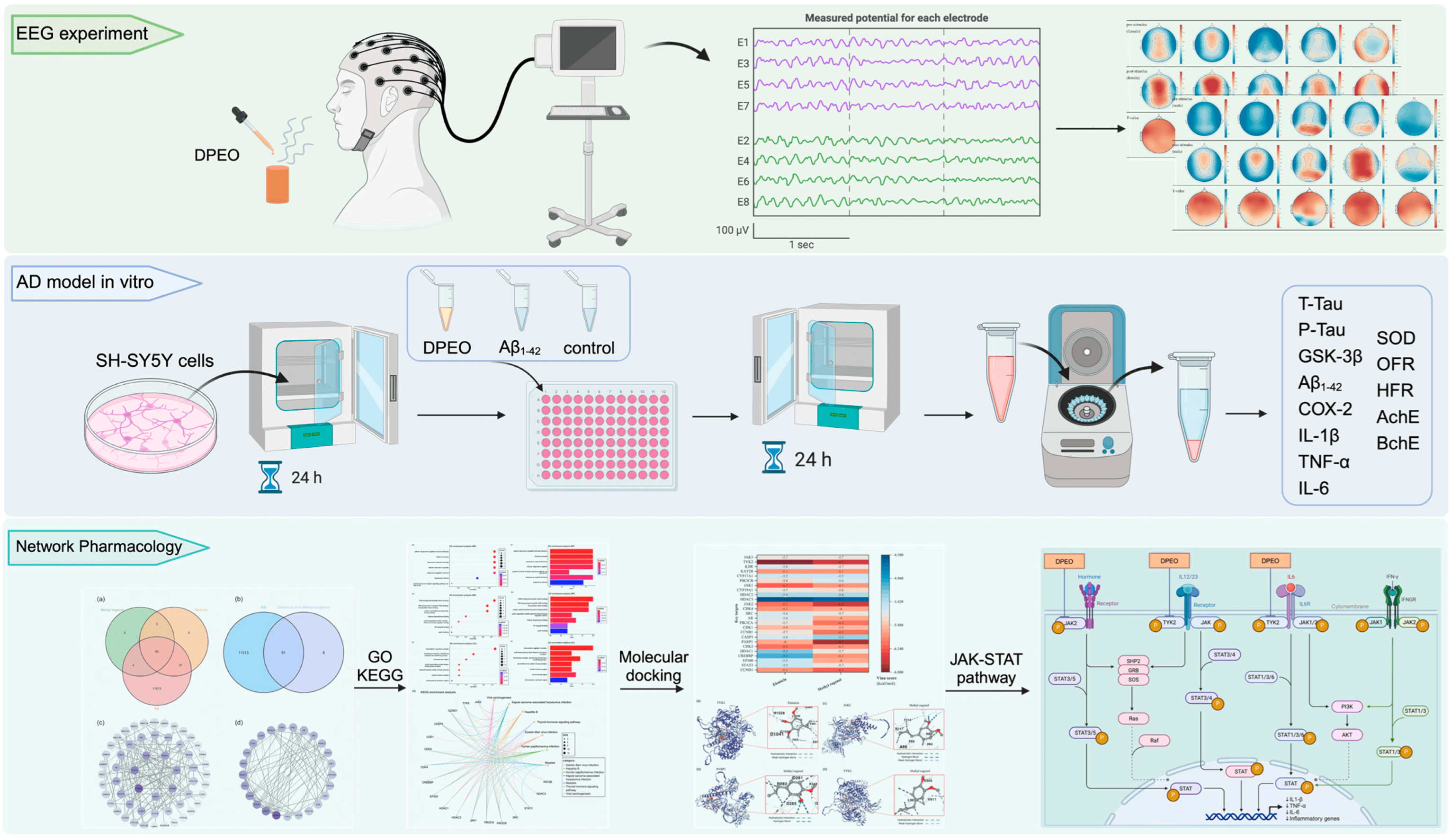Biology 13 00544 g001