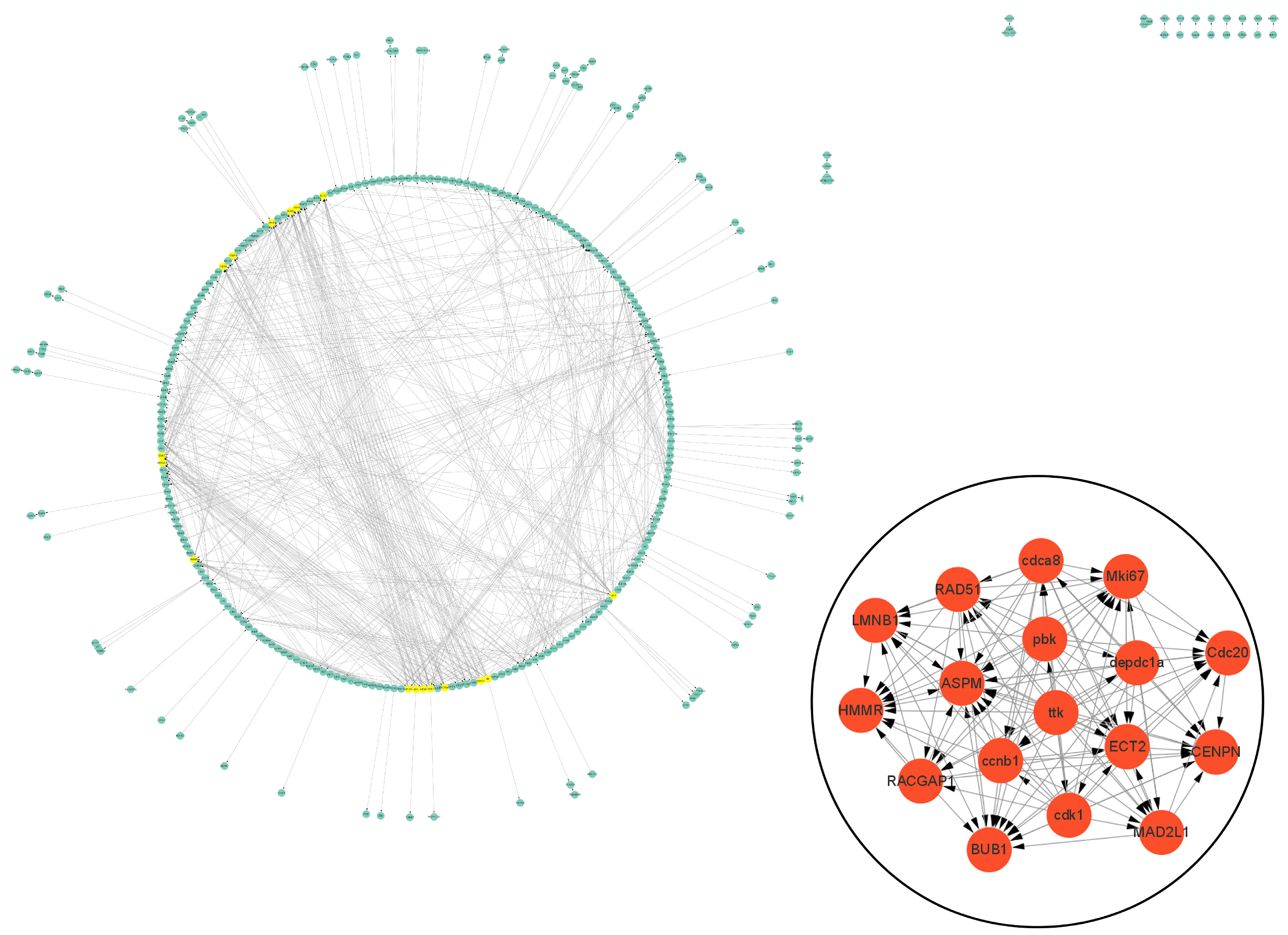 Biology 13 00545 g006 Biology 13 00545 g006