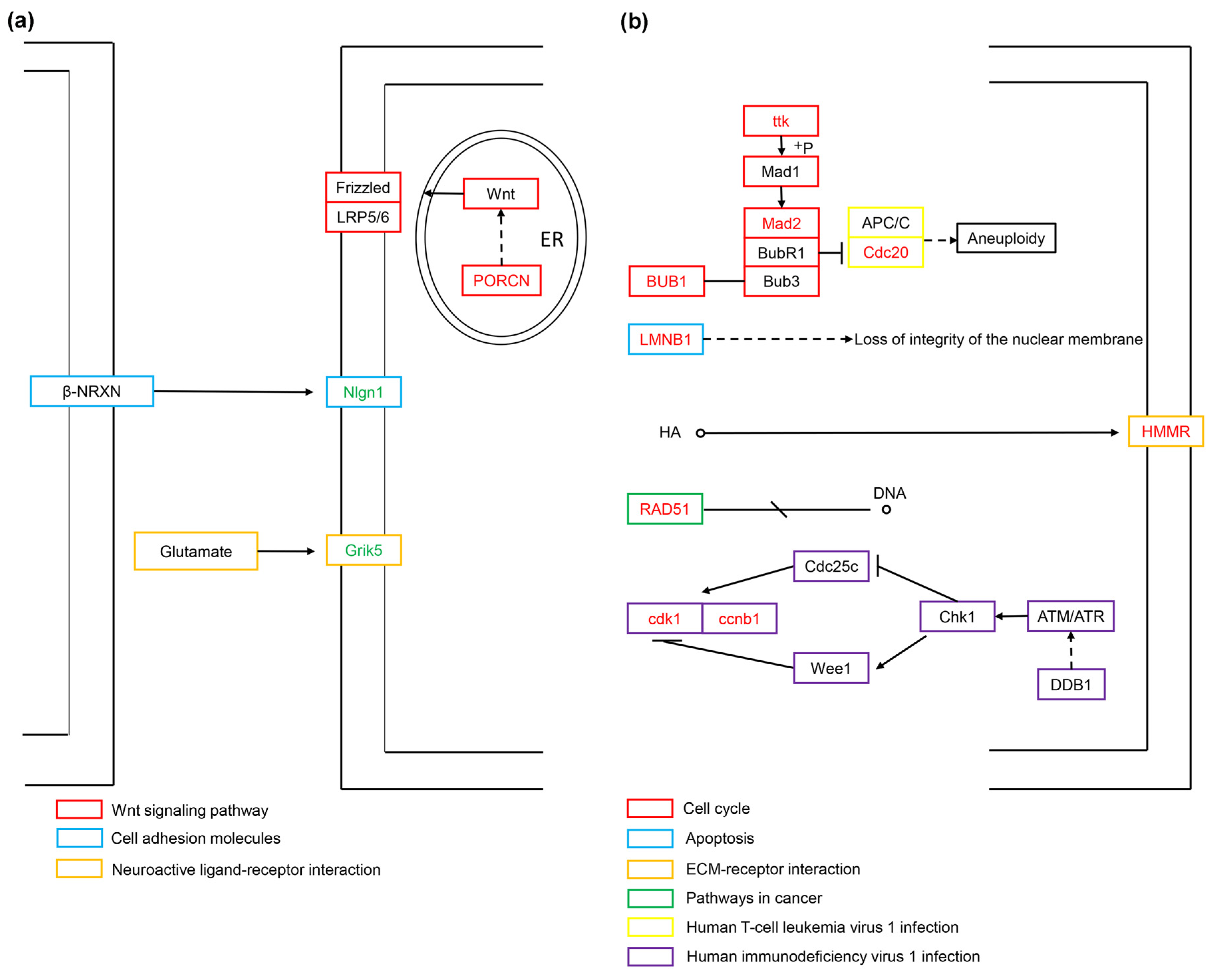 Biology 13 00545 g007 Biology 13 00545 g007