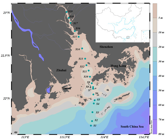 Phytoplankton Diversity, Spatial Patterns, and