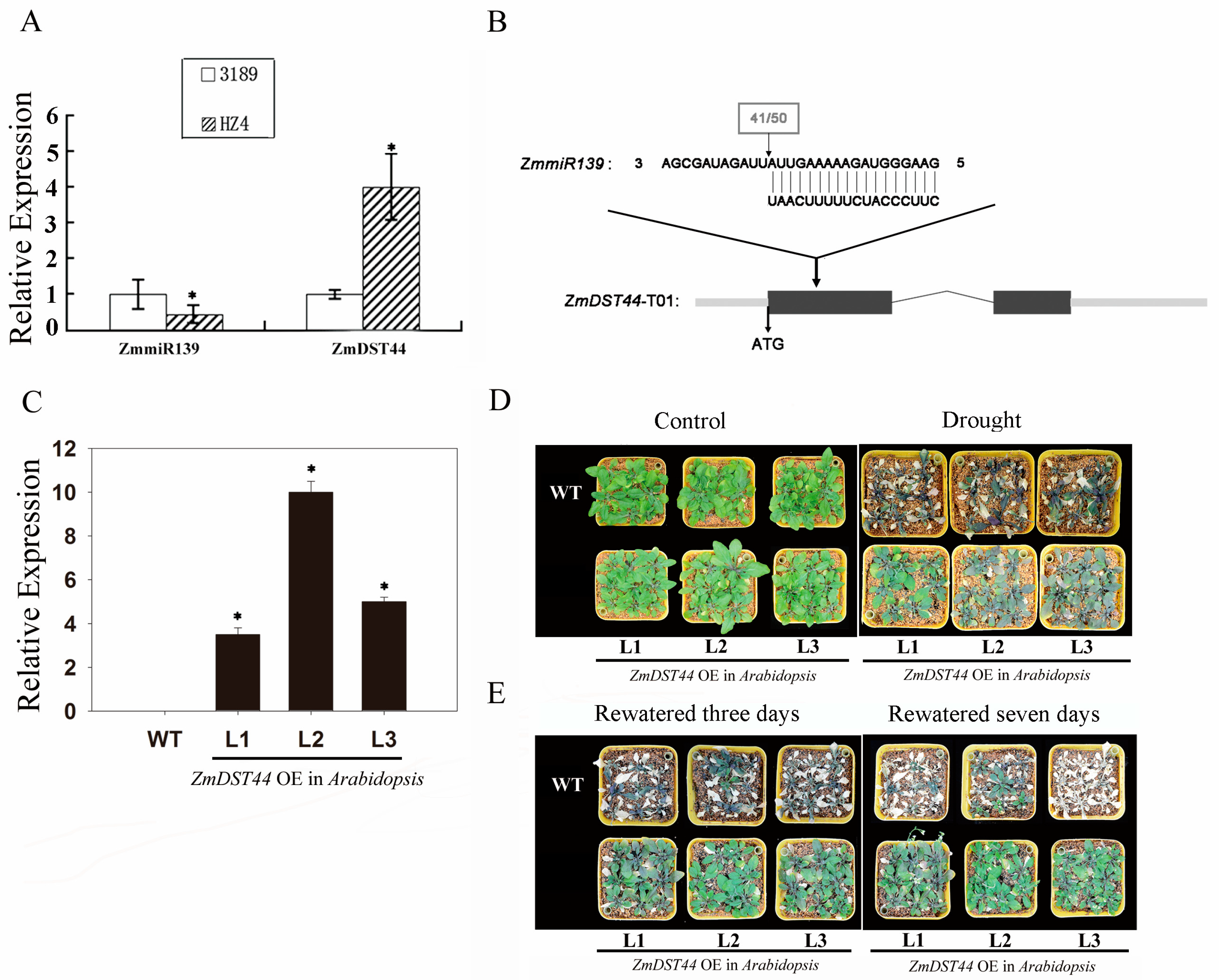 Biology 13 00552 g001 Biology 13 00552 g001