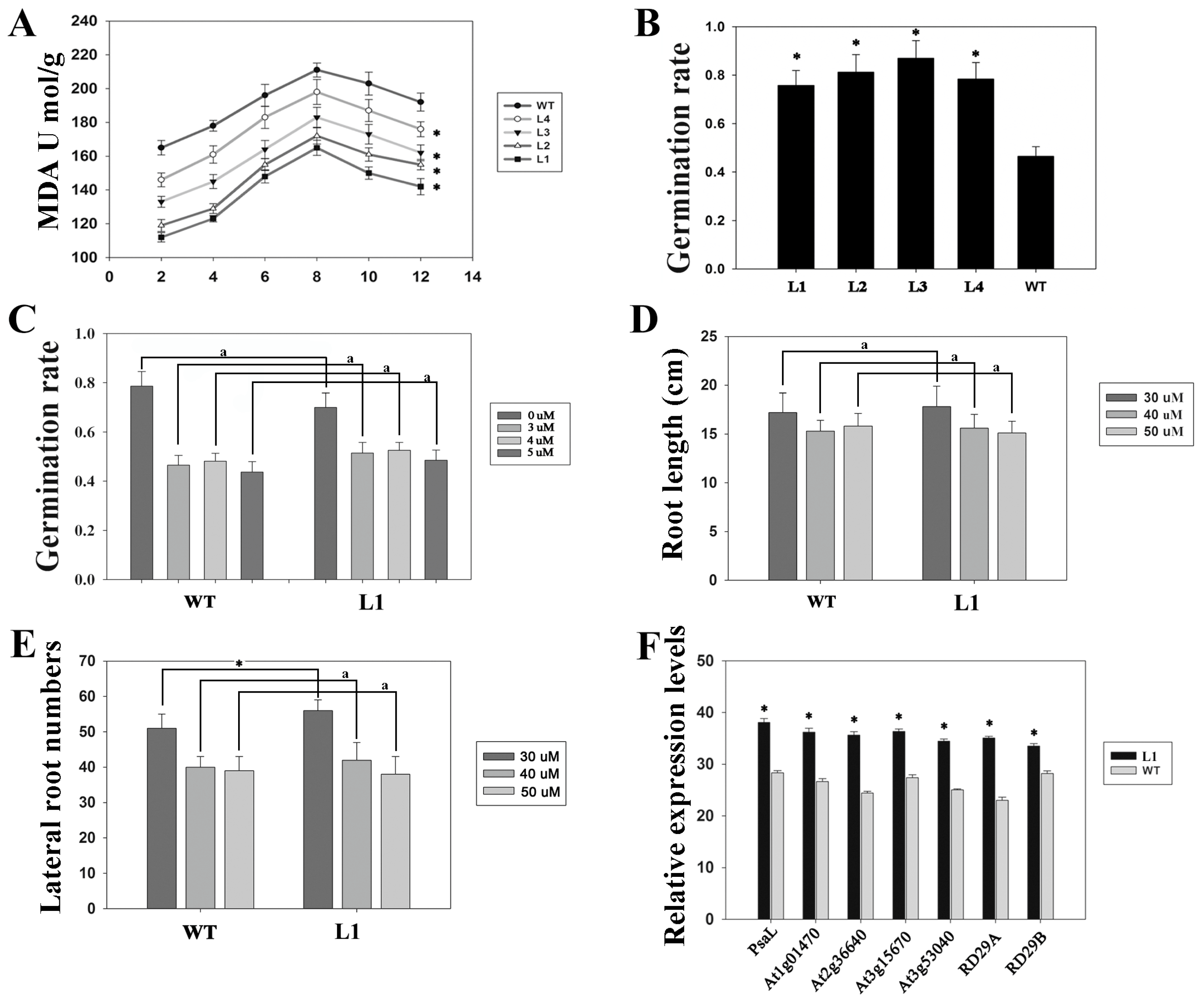 Biology 13 00552 g002 Biology 13 00552 g002
