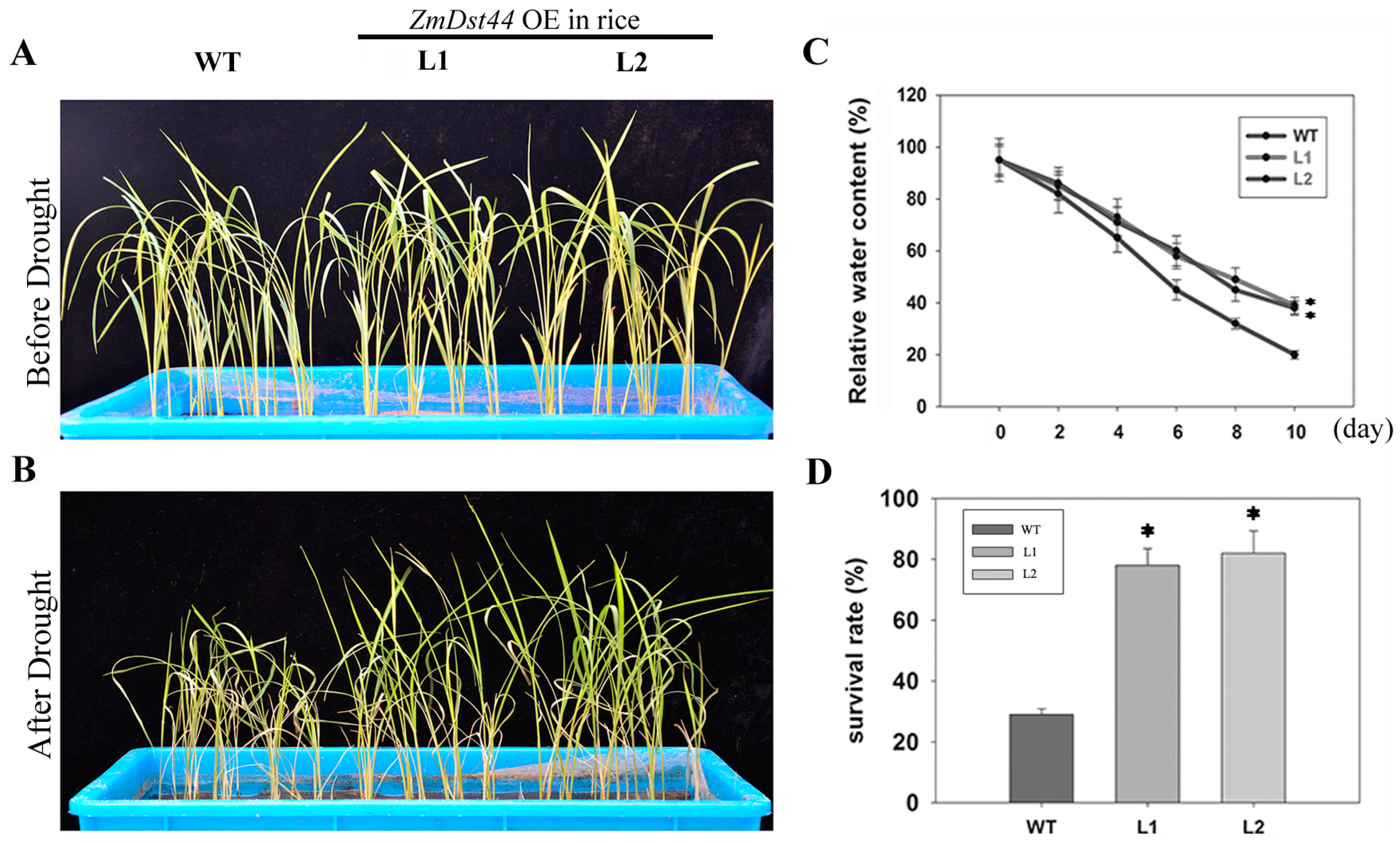 Biology 13 00552 g003 Biology 13 00552 g003
