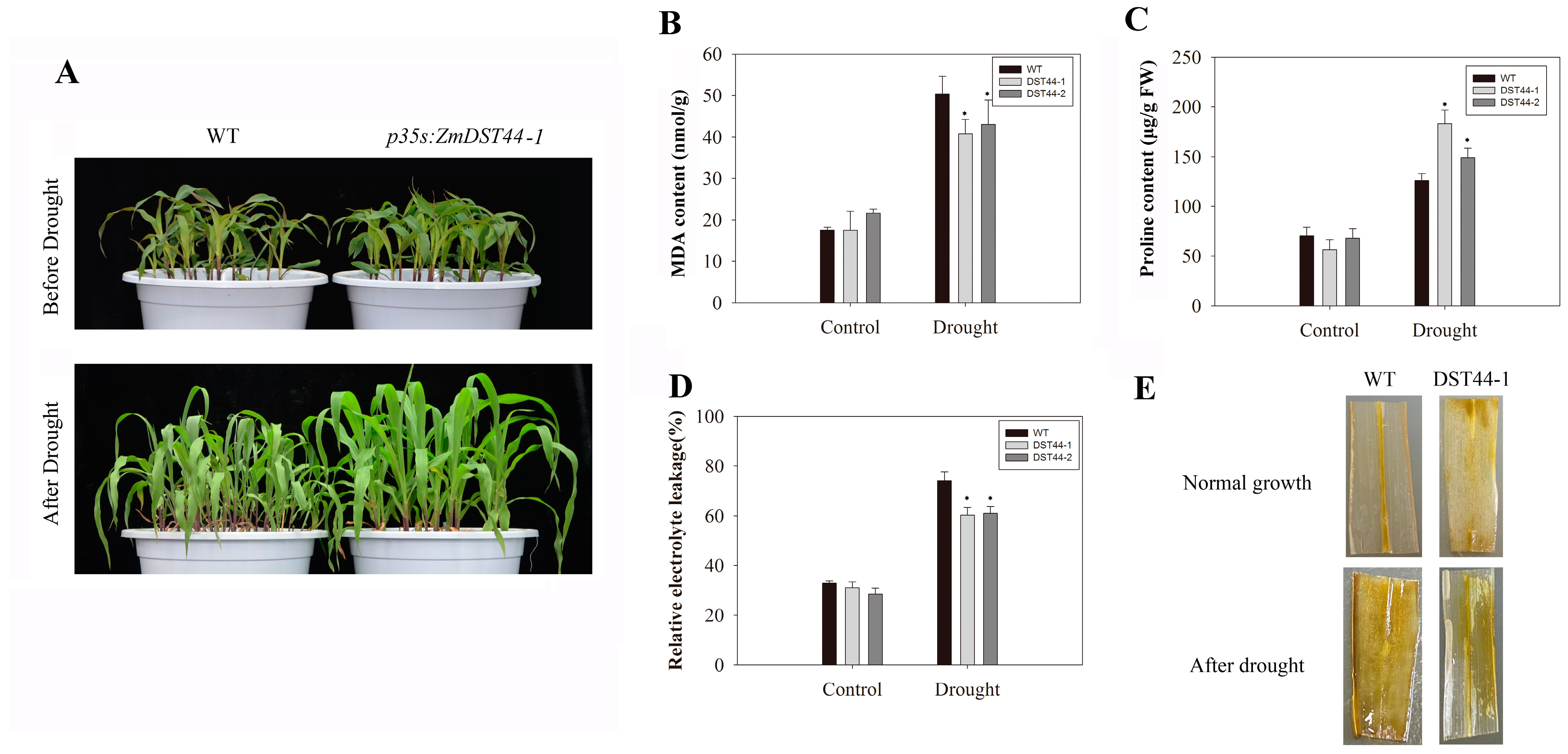 Biology 13 00552 g004 Biology 13 00552 g004