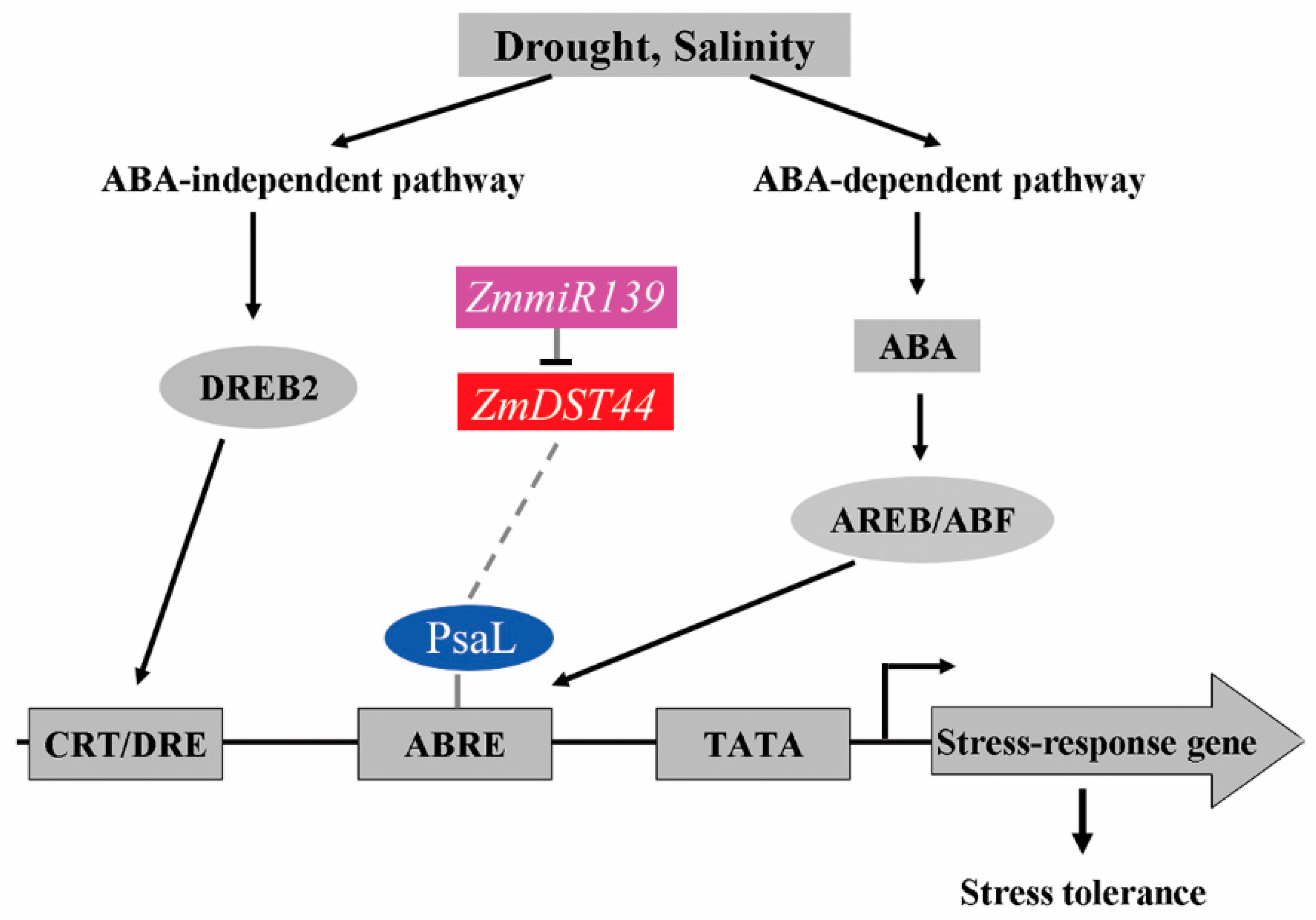 Biology 13 00552 g005 Biology 13 00552 g005