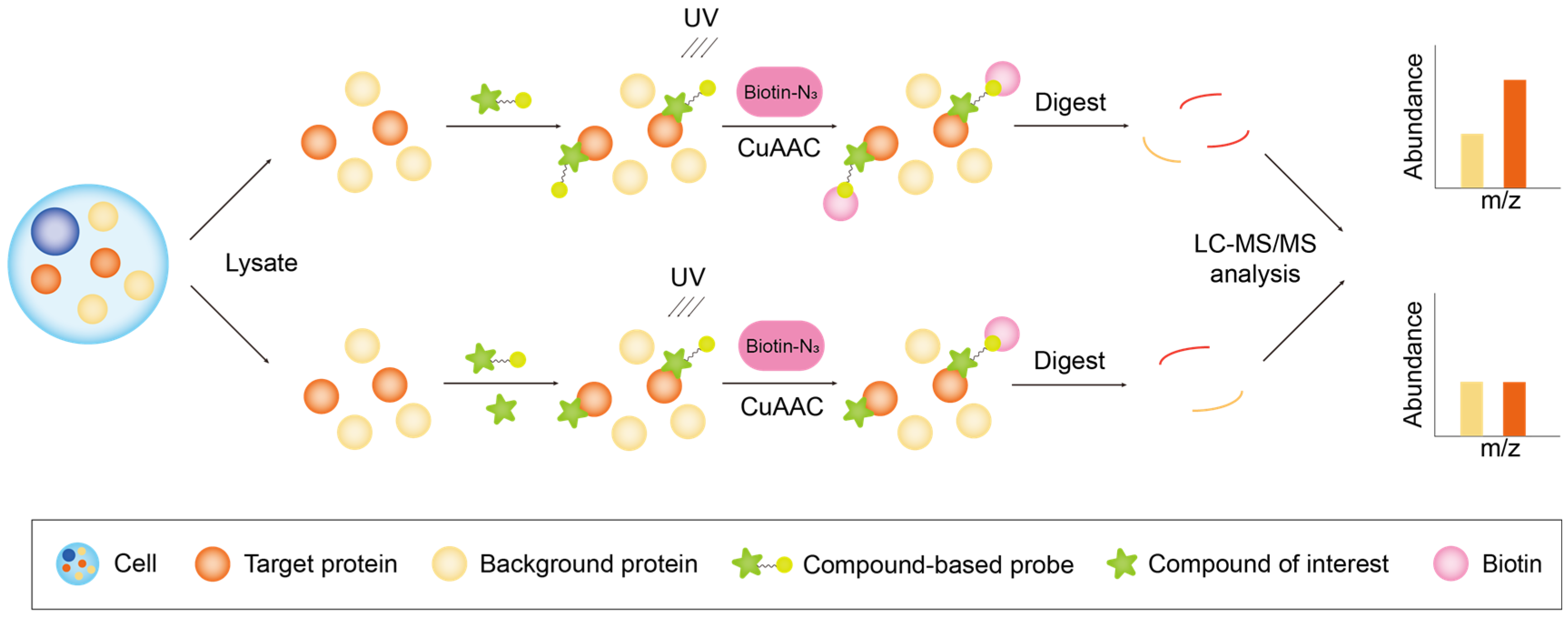 Biology 13 00555 g003