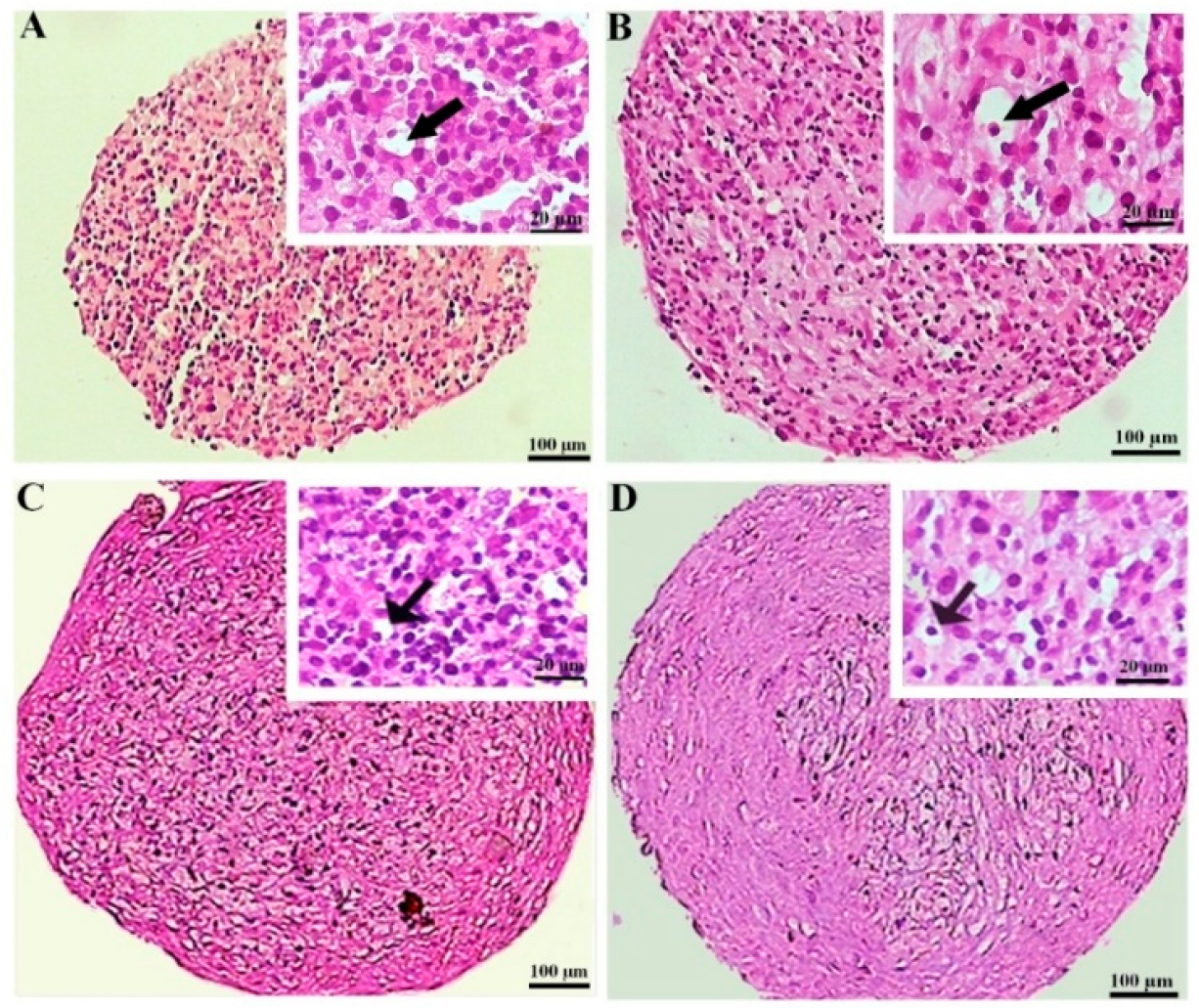 Biology 13 00560 g004 Biology 13 00560 g004