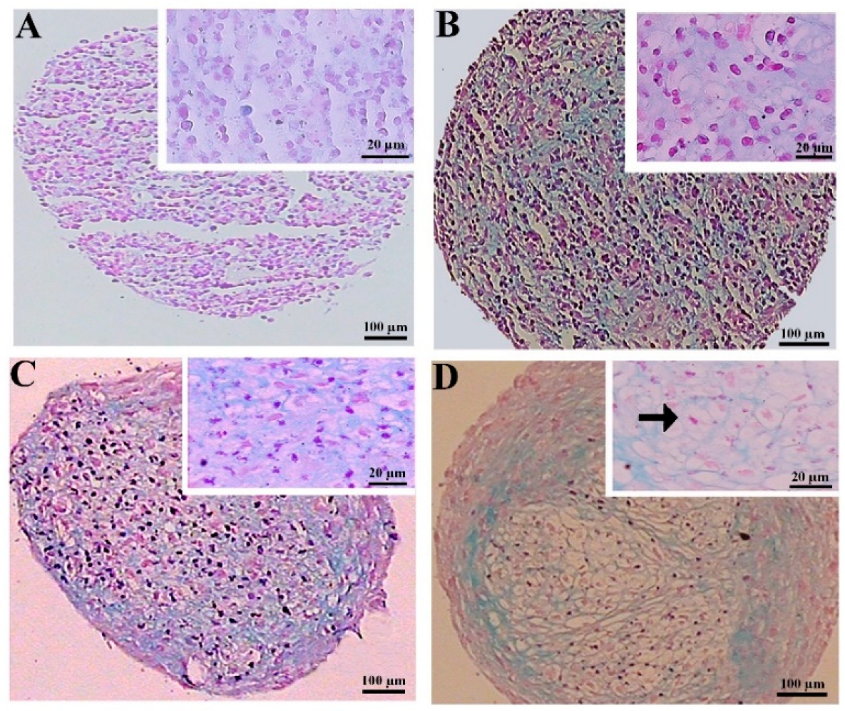 Biology 13 00560 g005 Biology 13 00560 g005