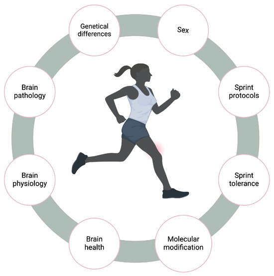 Sprint Interval Training Improves Brain-Derived Neurotropic