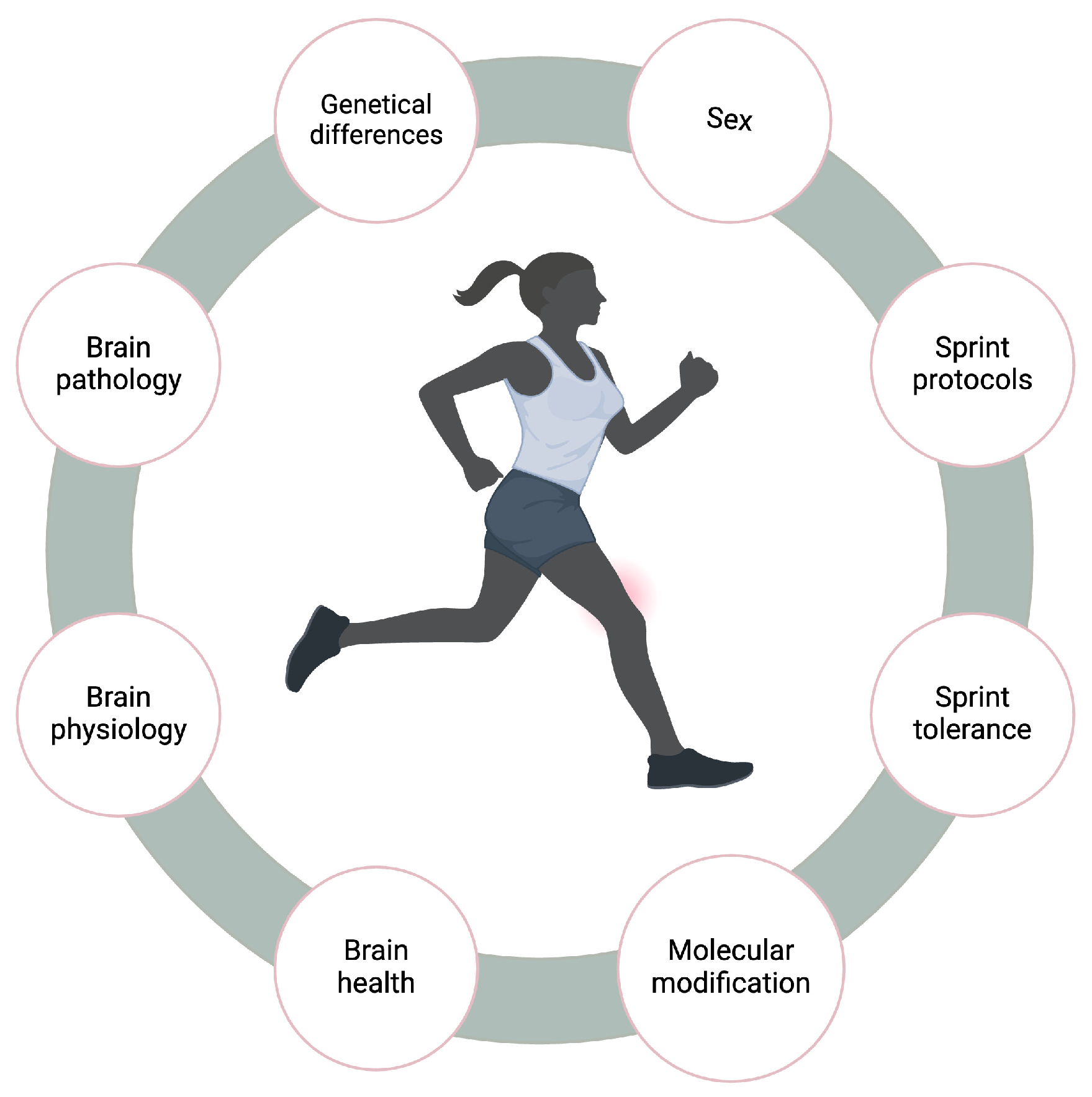 Sprint Interval Training Improves Brain-Derived Neurotropic Sprint Interval Training Improves Brain-Derived Neurotropic