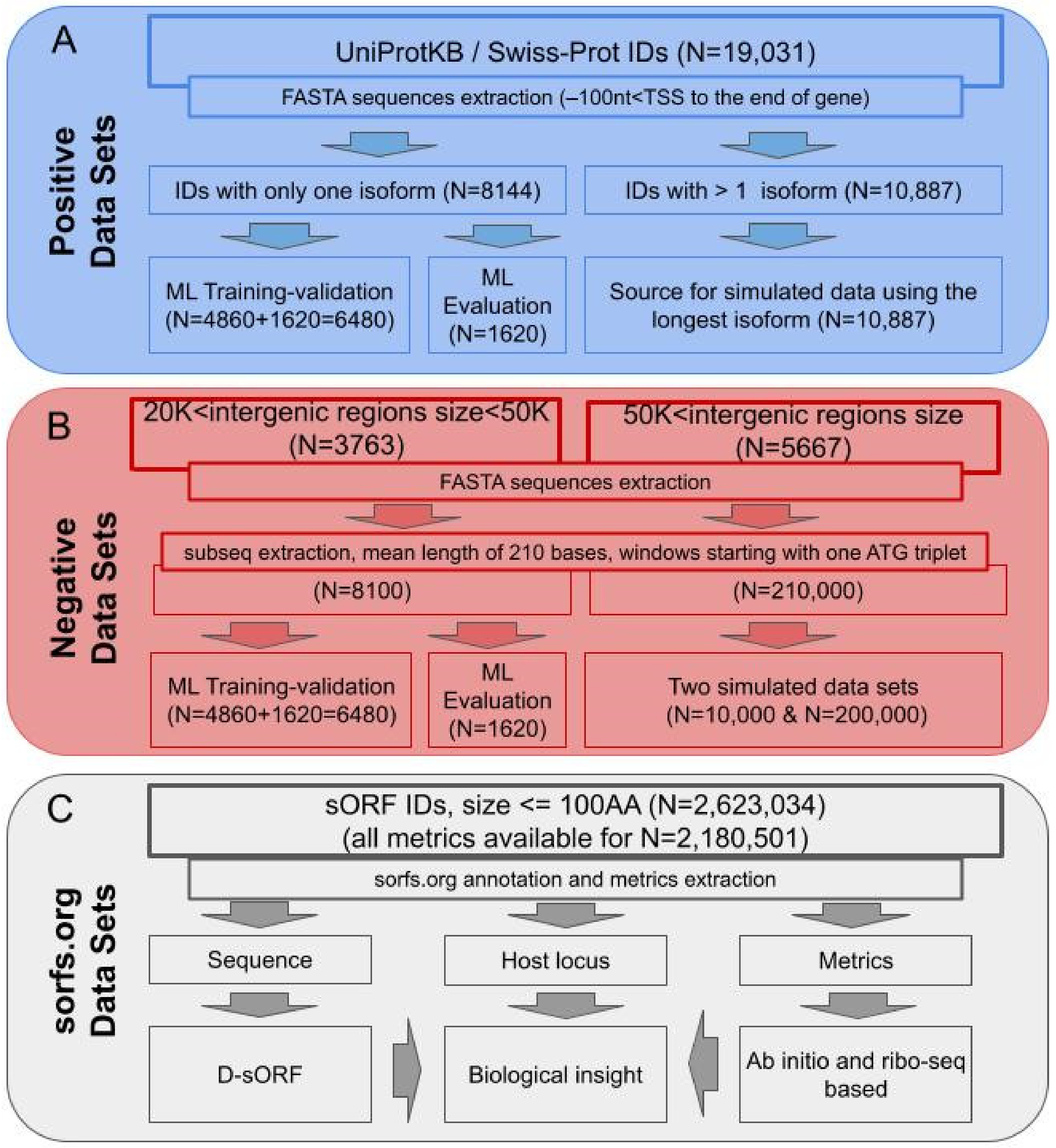 Biology 13 00563 g001