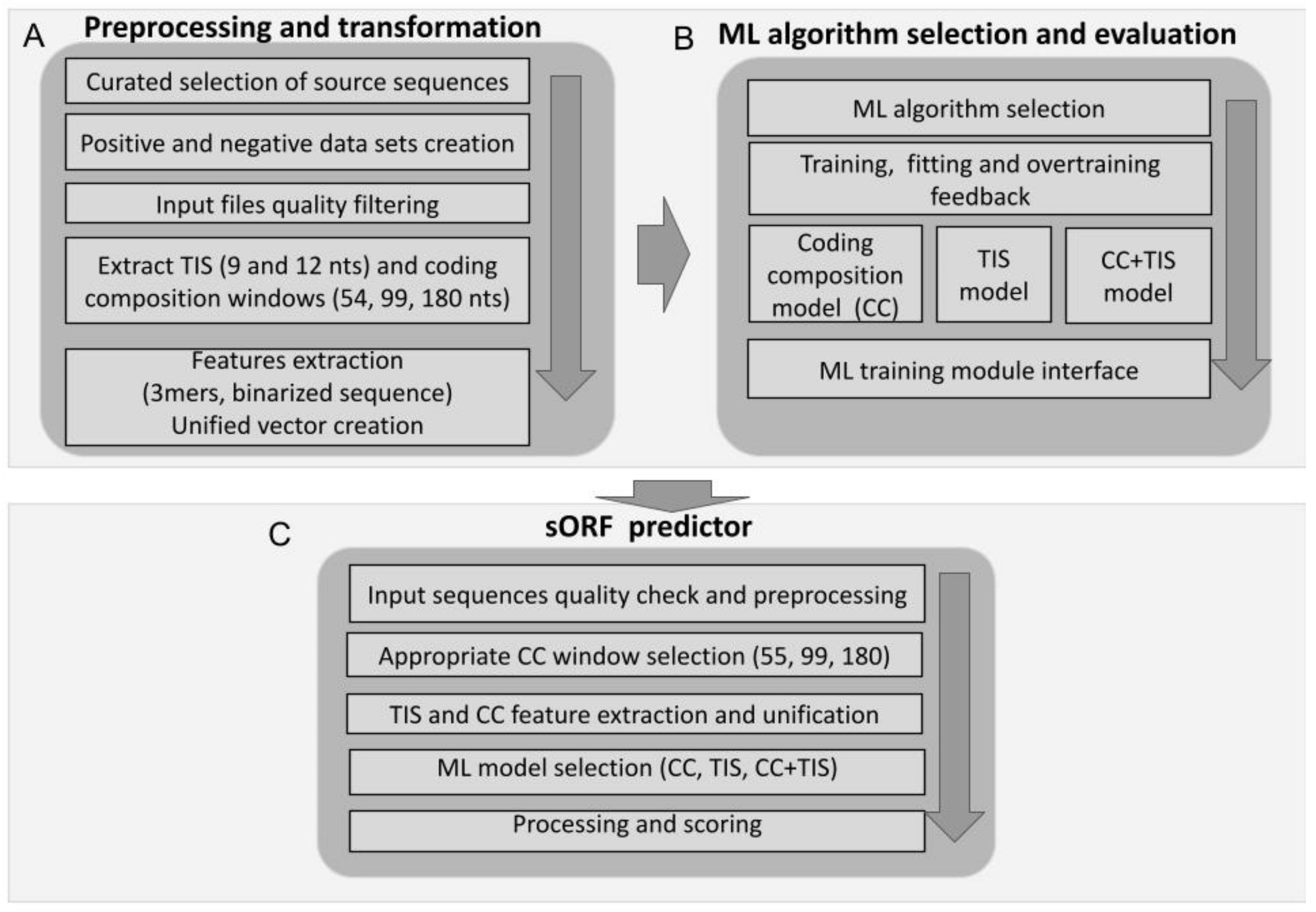 Biology 13 00563 g002
