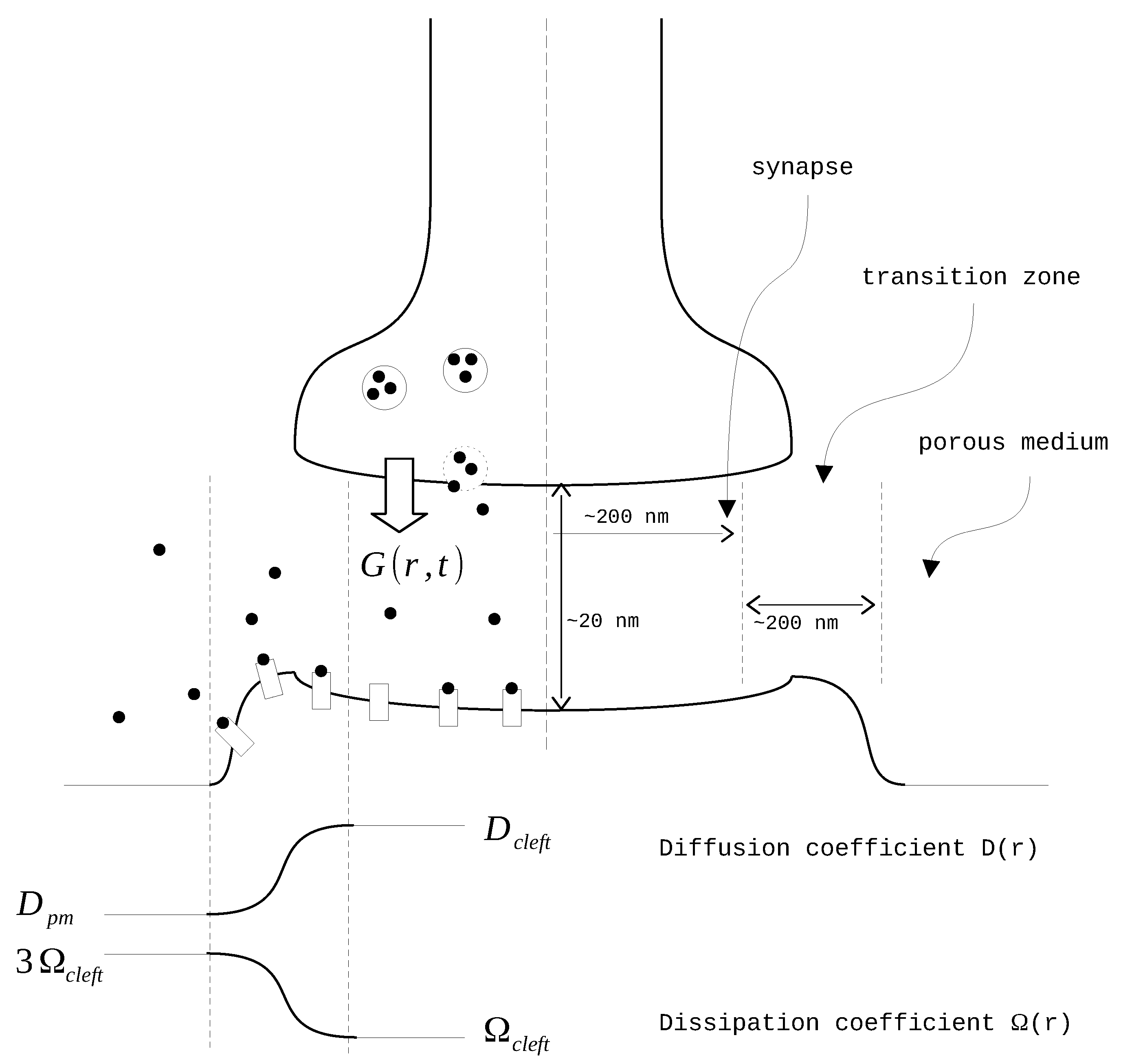 Biology 13 00566 g001