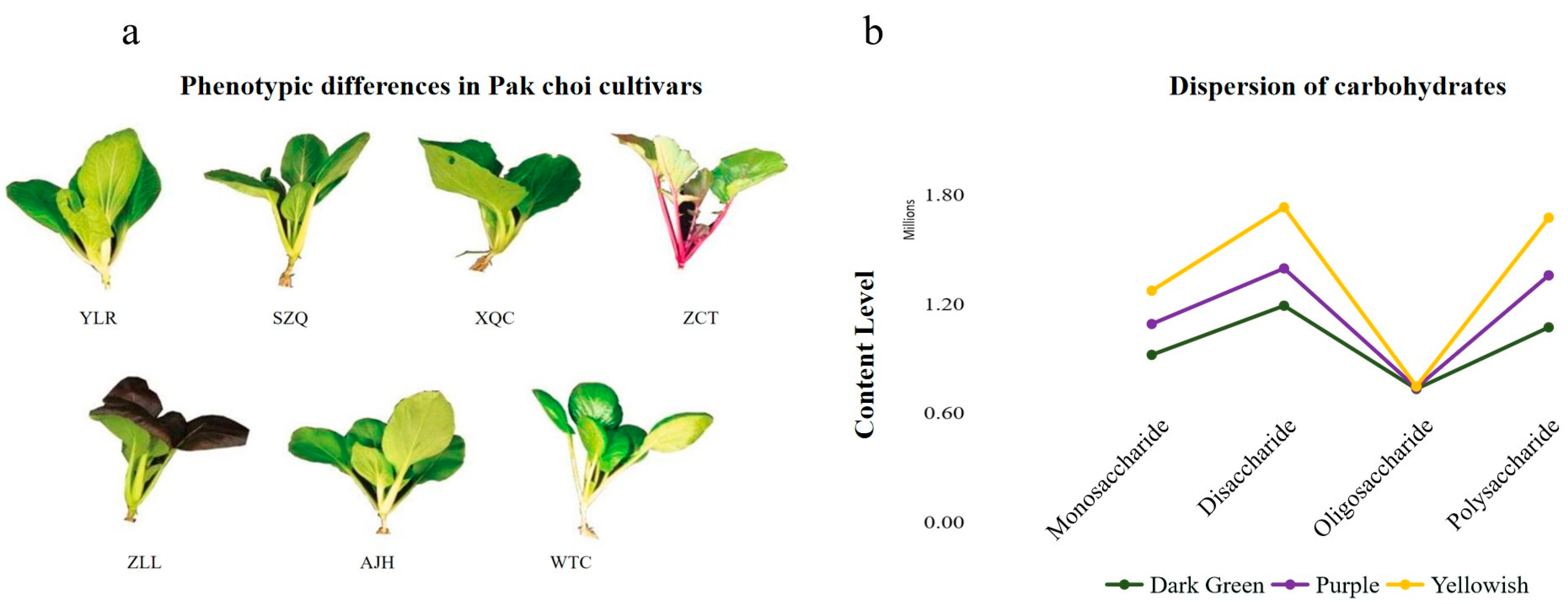 Biology 13 00568 g001 Biology 13 00568 g001
