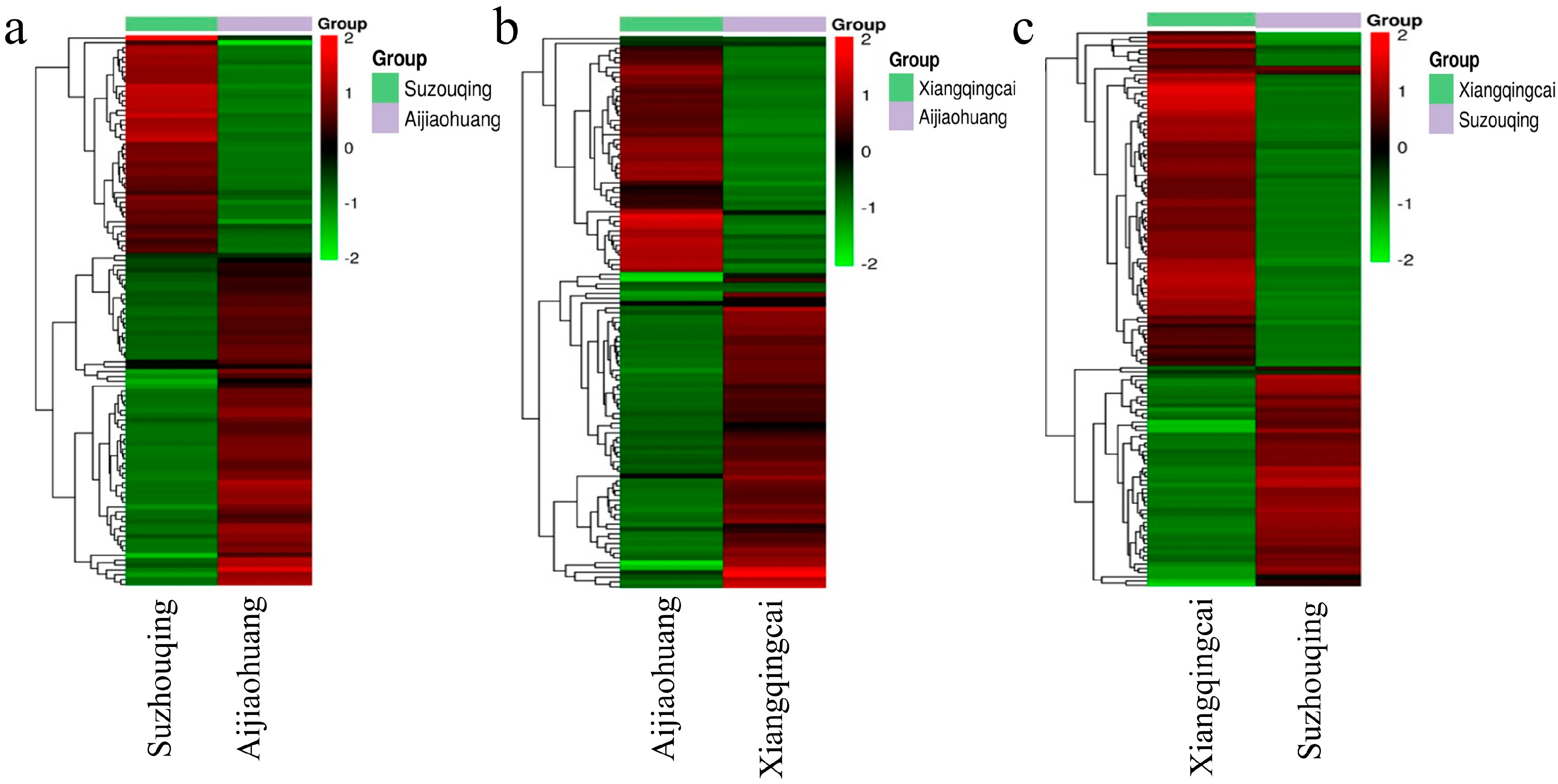 Biology 13 00568 g005 Biology 13 00568 g005