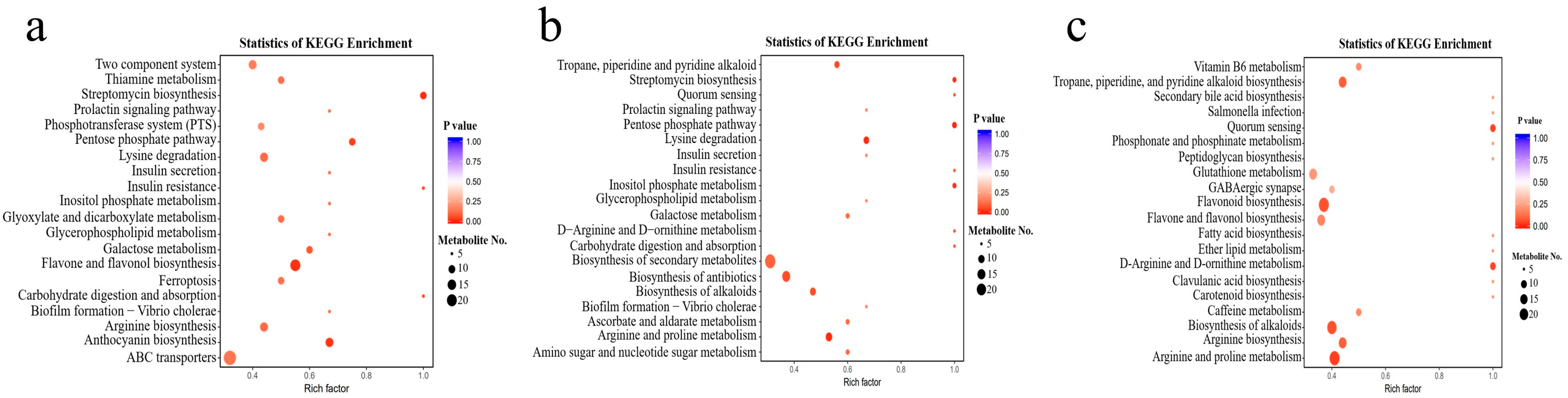 Biology 13 00568 g006 Biology 13 00568 g006