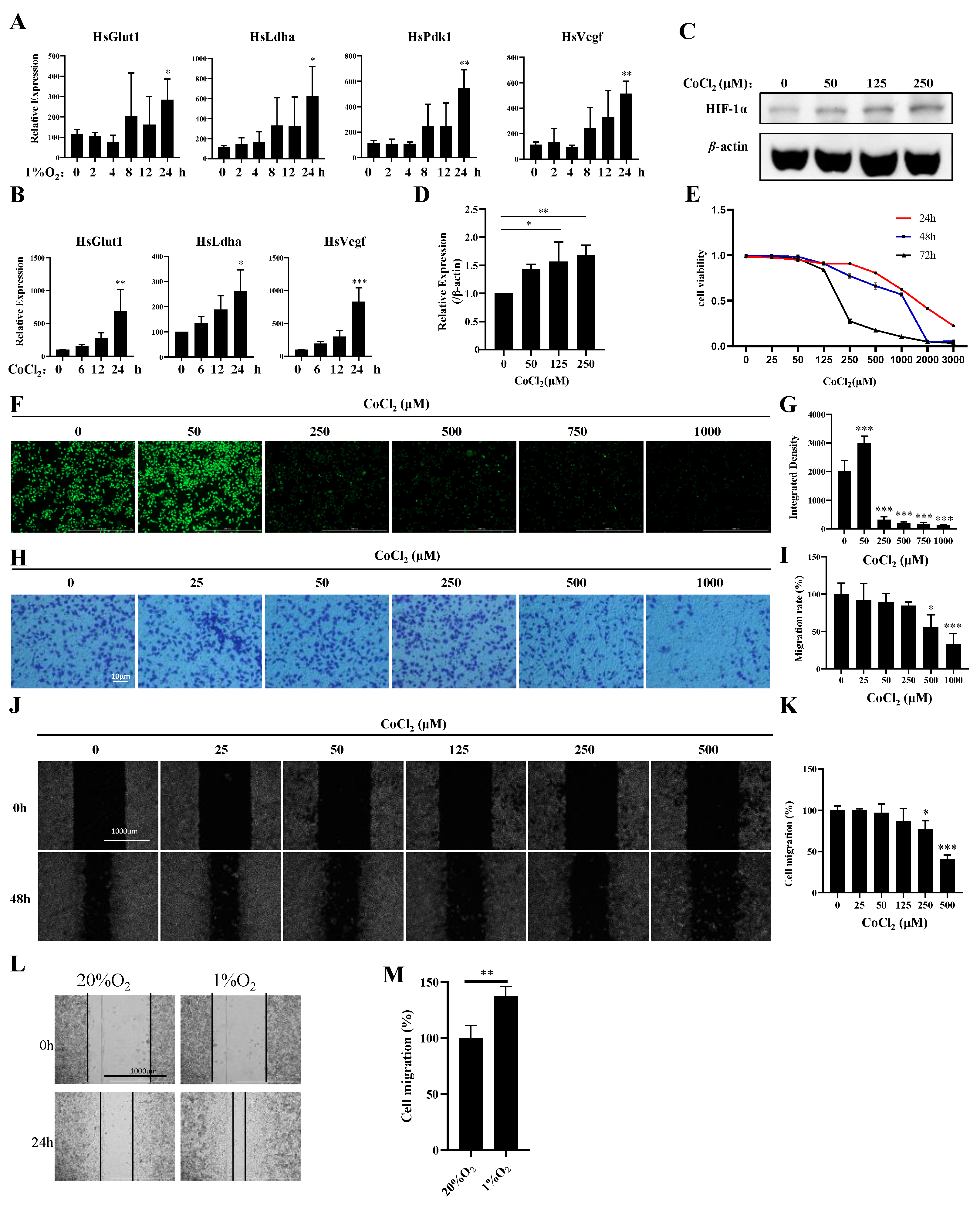 Biology 13 00577 g001