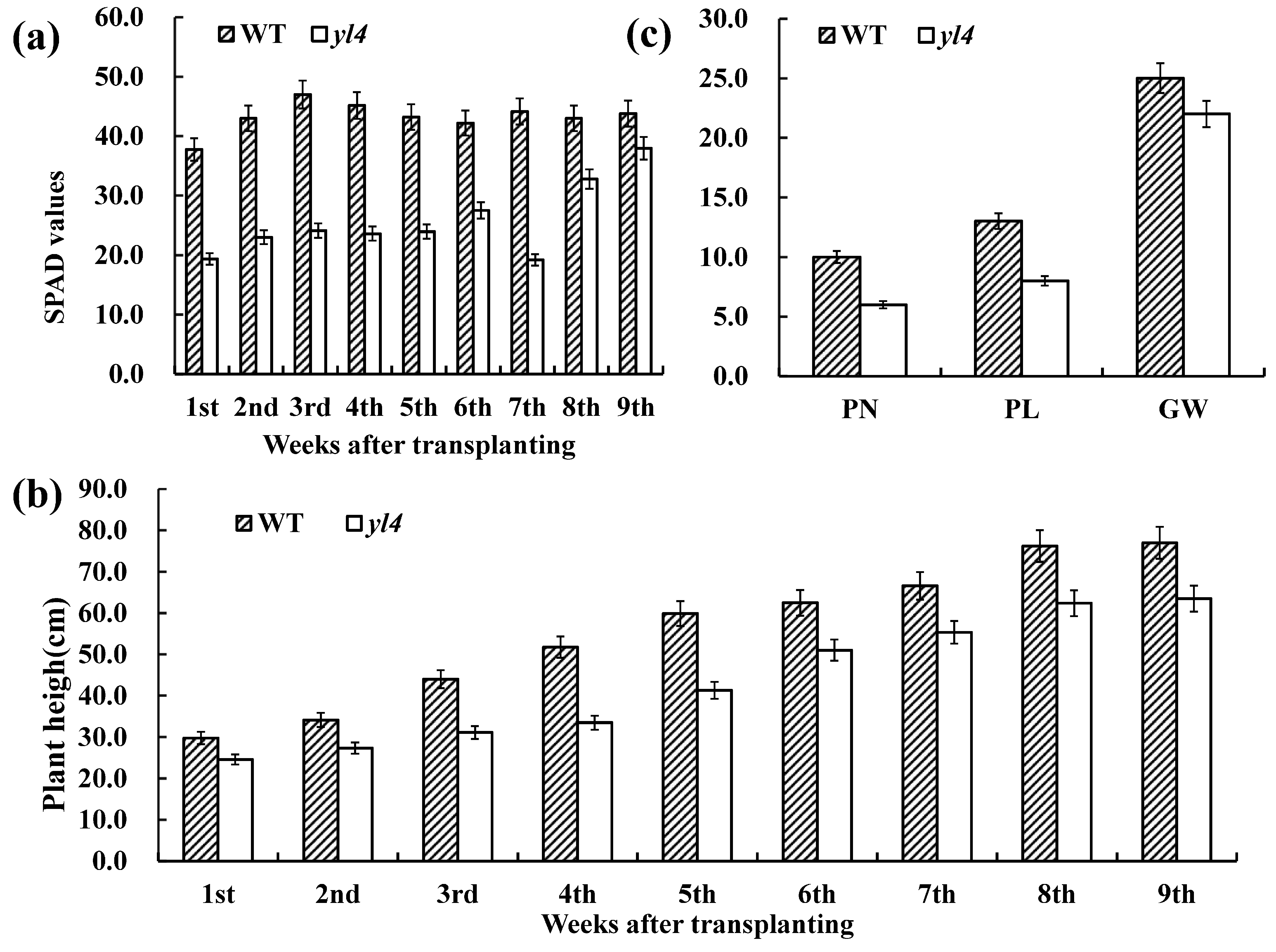 Biology 13 00580 g002