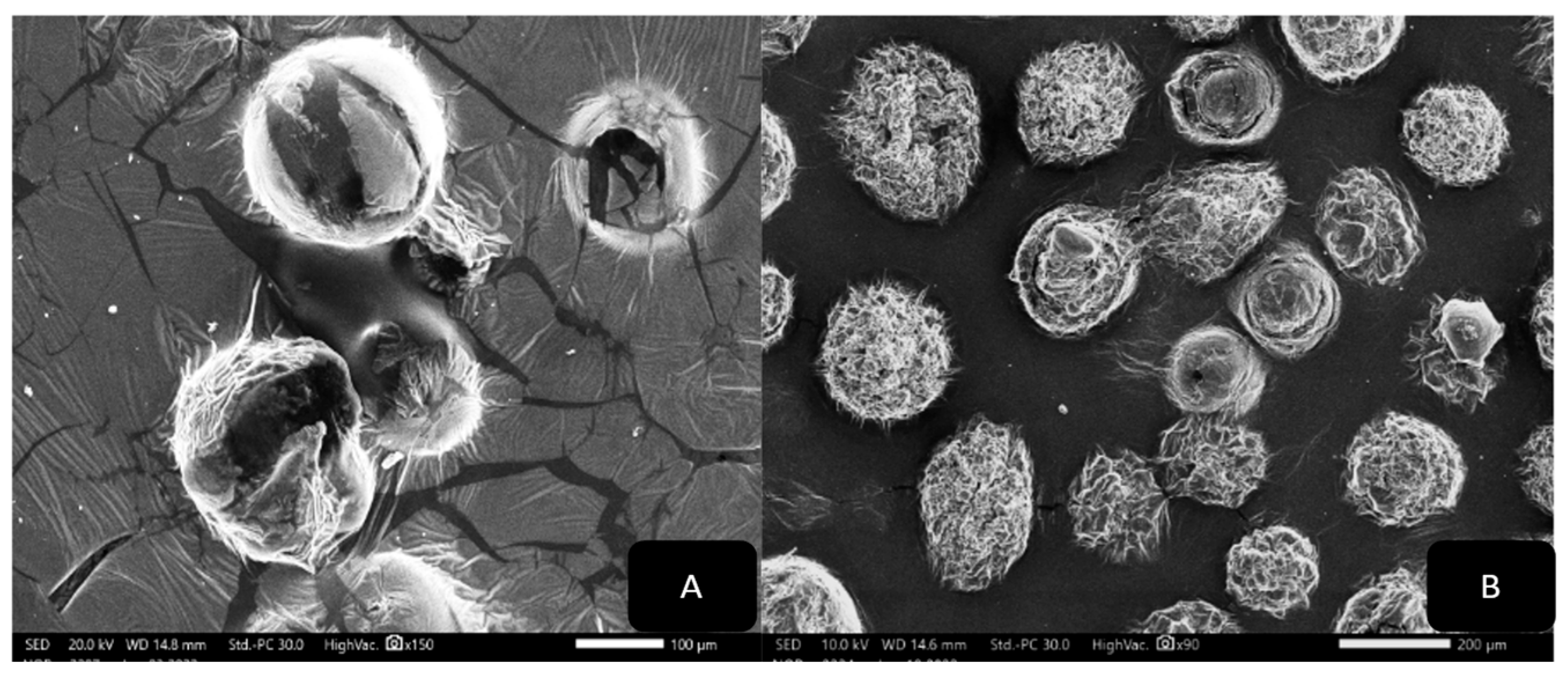 Biology 13 00581 g006 Biology 13 00581 g006