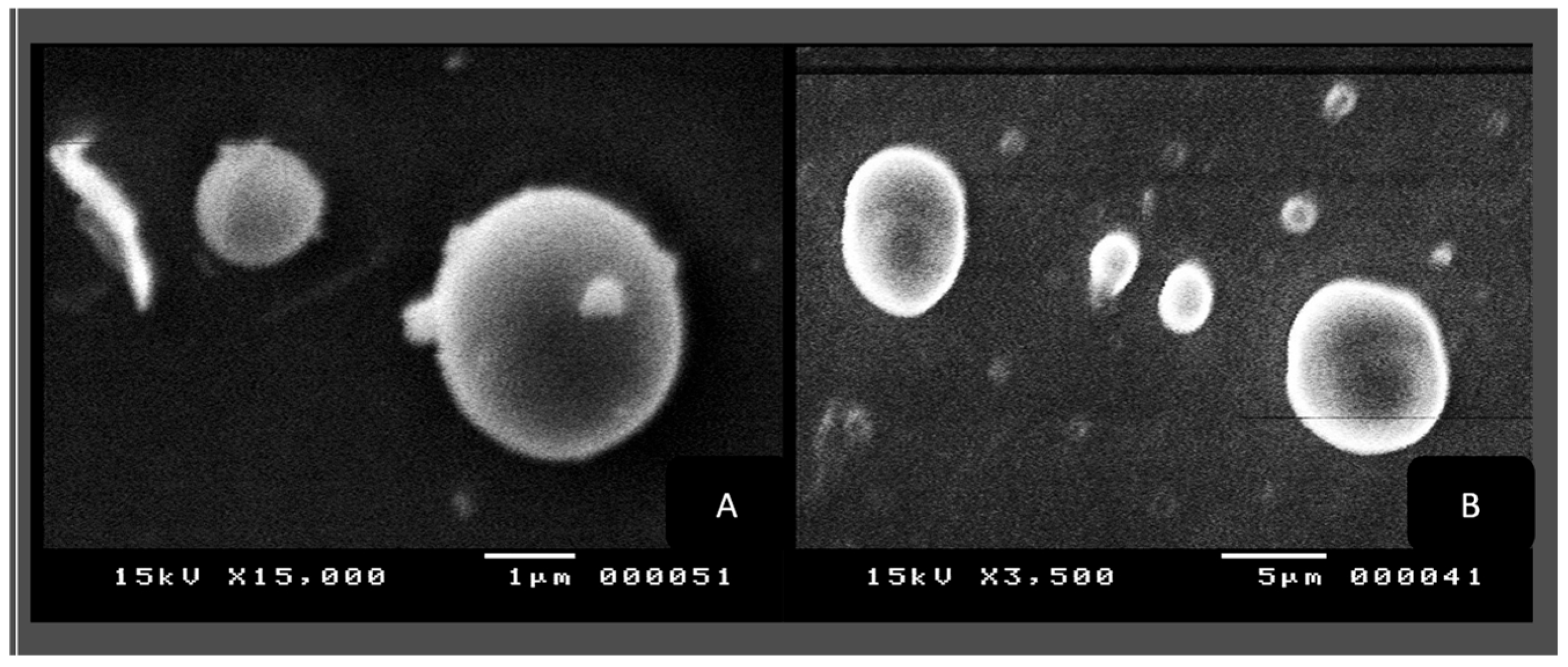 Biology 13 00581 g007 Biology 13 00581 g007