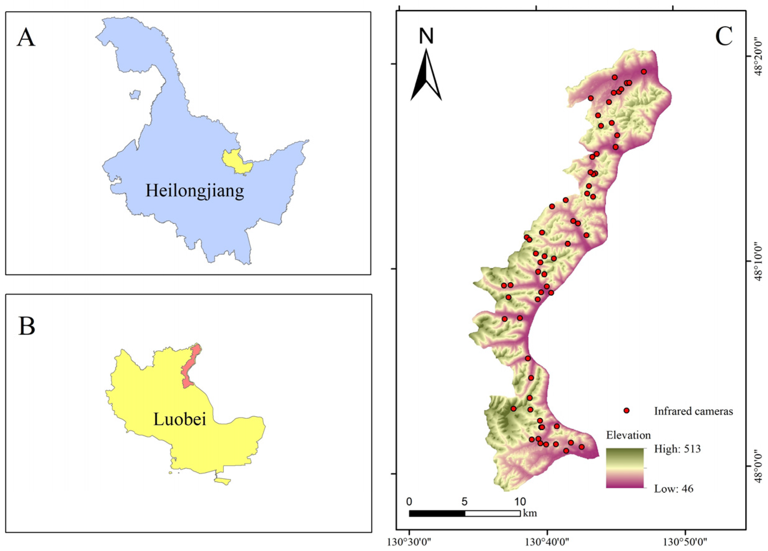 Biology 13 00594 g001