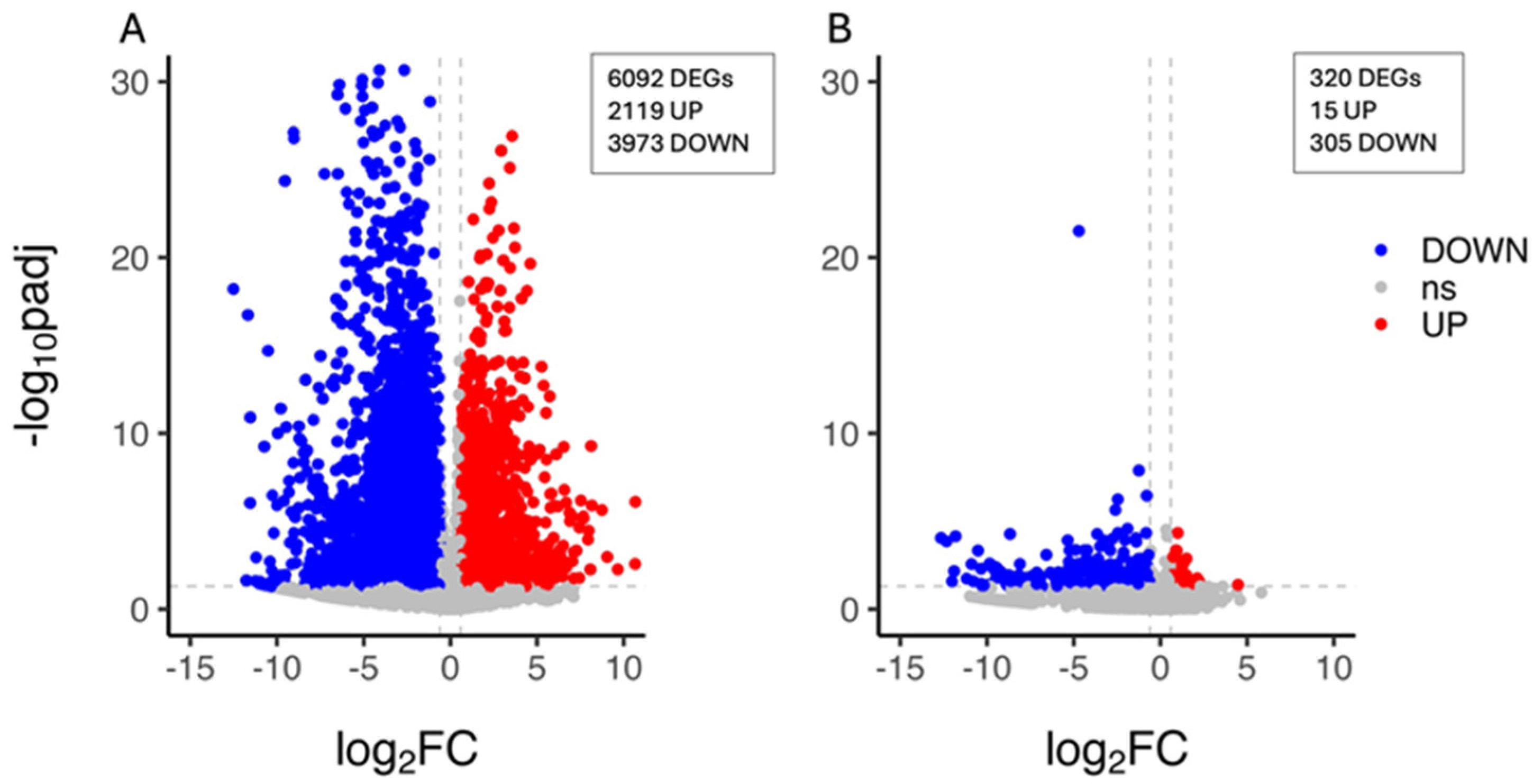 Biology 13 00595 g002 Biology 13 00595 g002