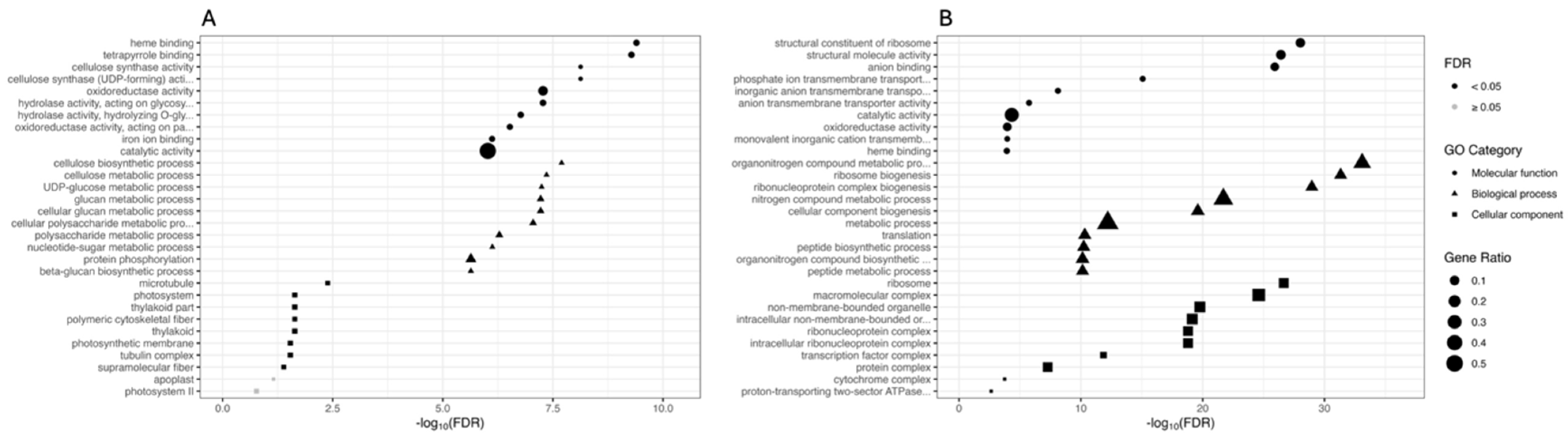 Biology 13 00595 g003 Biology 13 00595 g003