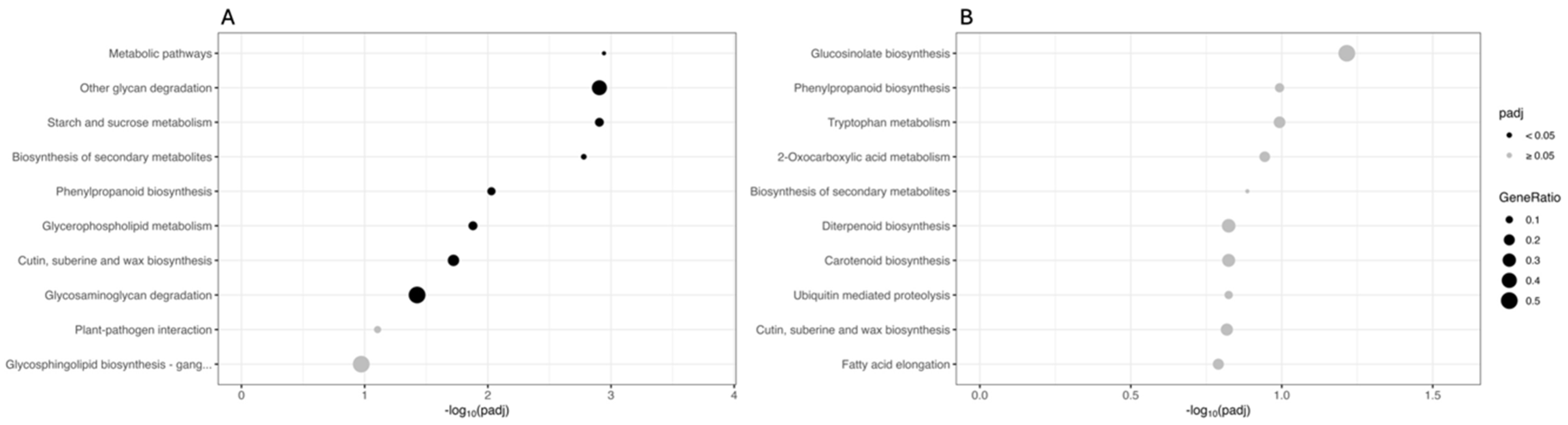 Biology 13 00595 g004 Biology 13 00595 g004