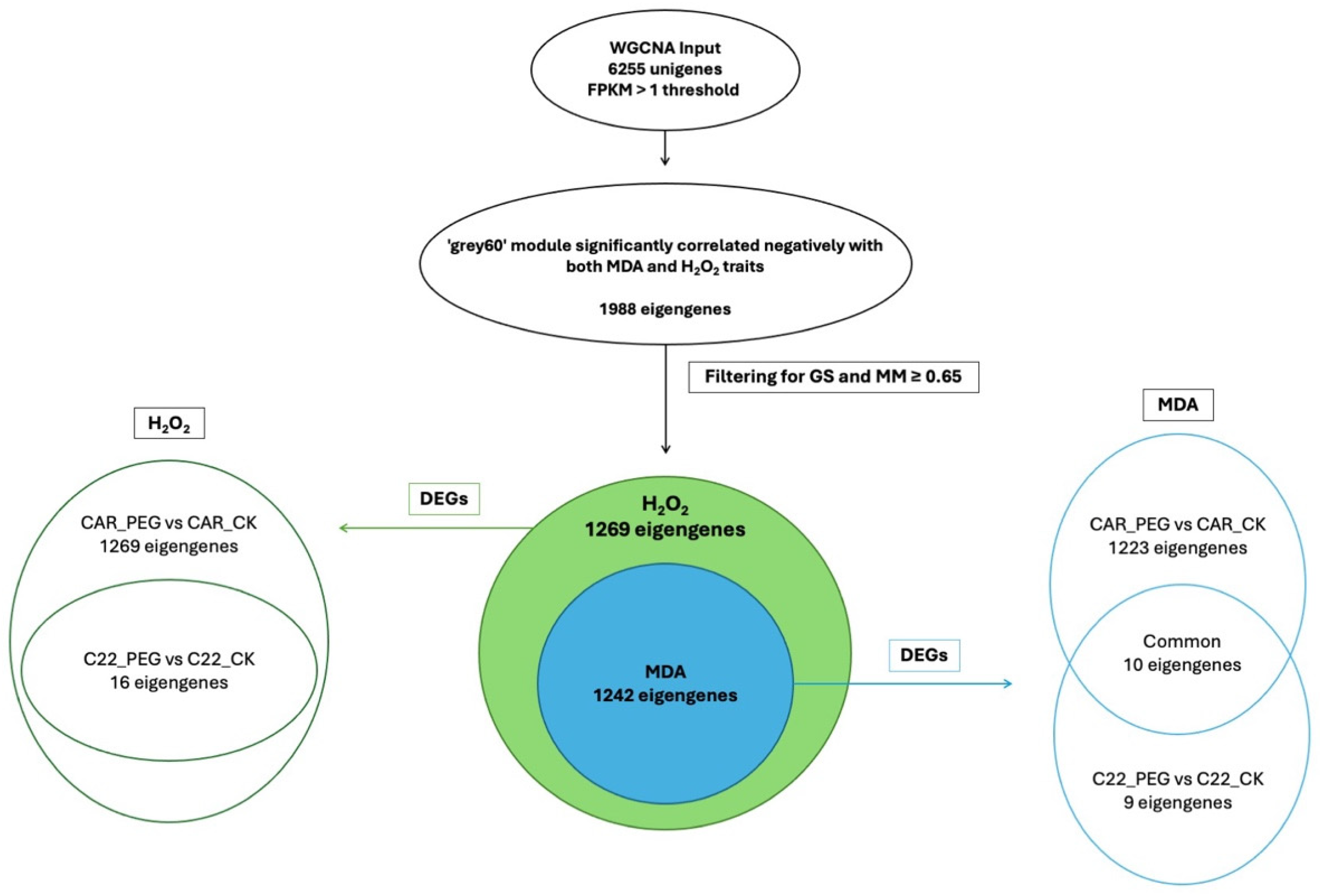 Biology 13 00595 g007 Biology 13 00595 g007