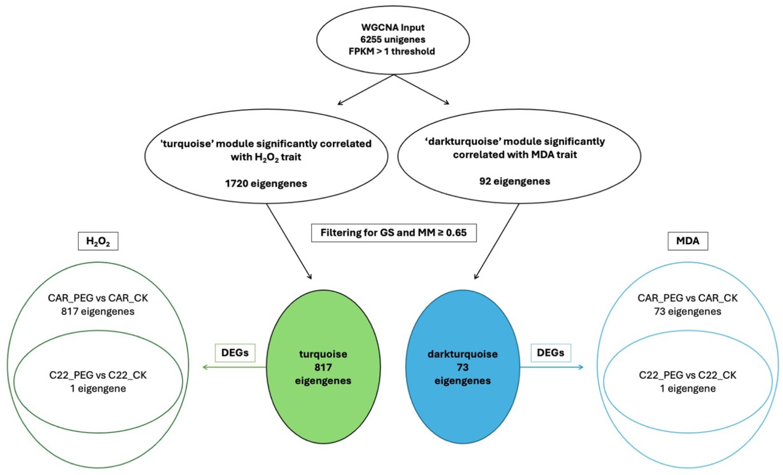 Biology 13 00595 g008 Biology 13 00595 g008