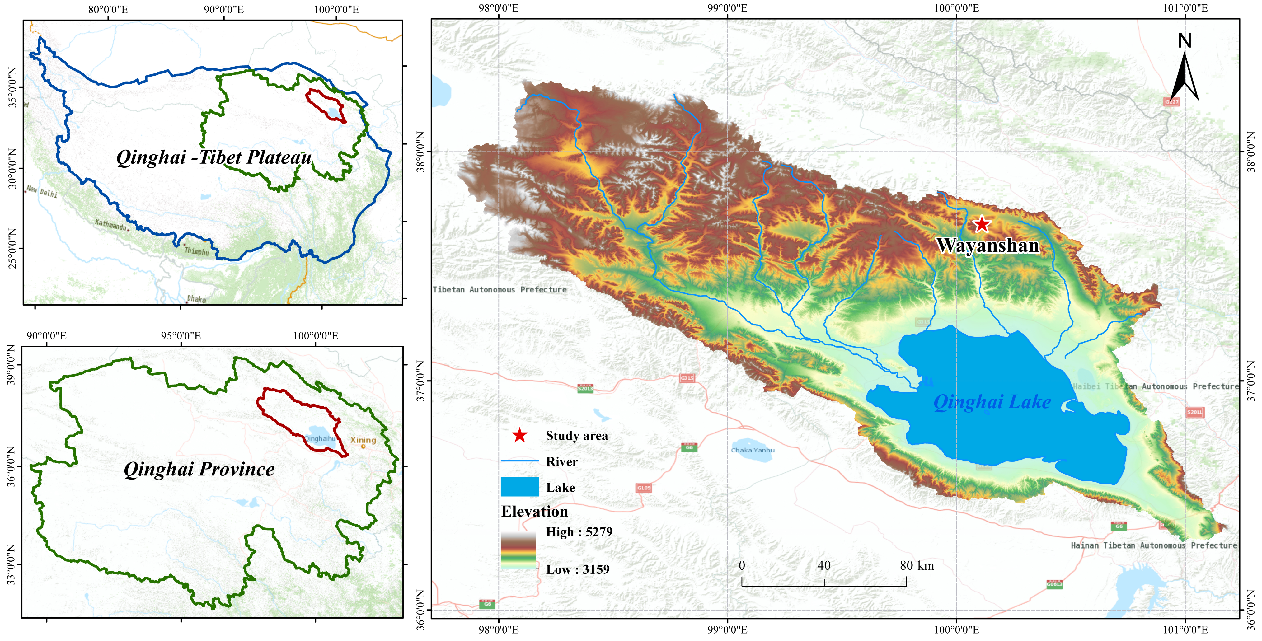 Biology 13 00596 g001