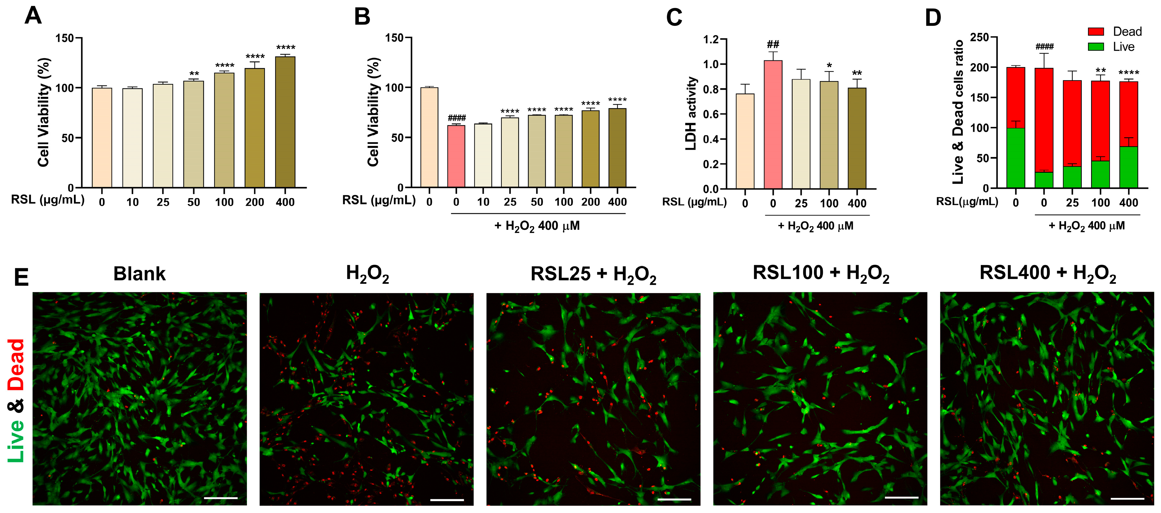 Biology 13 00602 g001