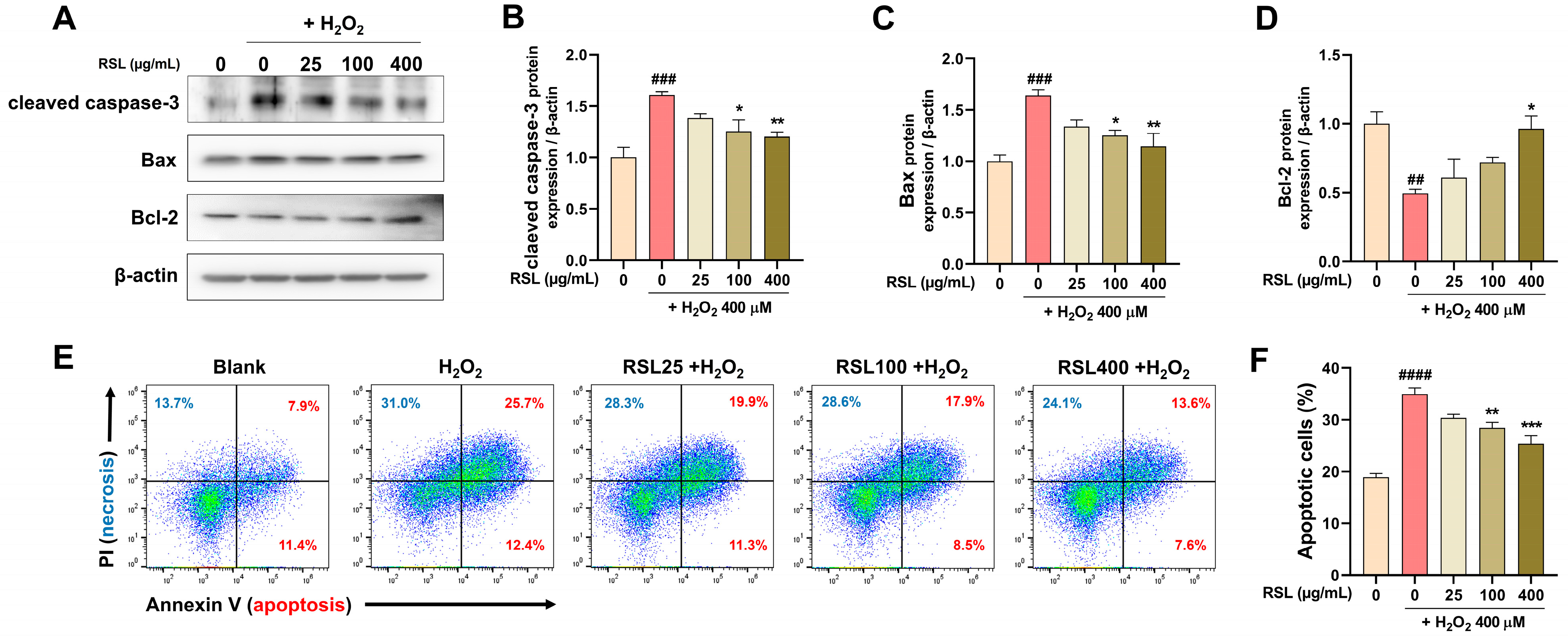 Biology 13 00602 g002