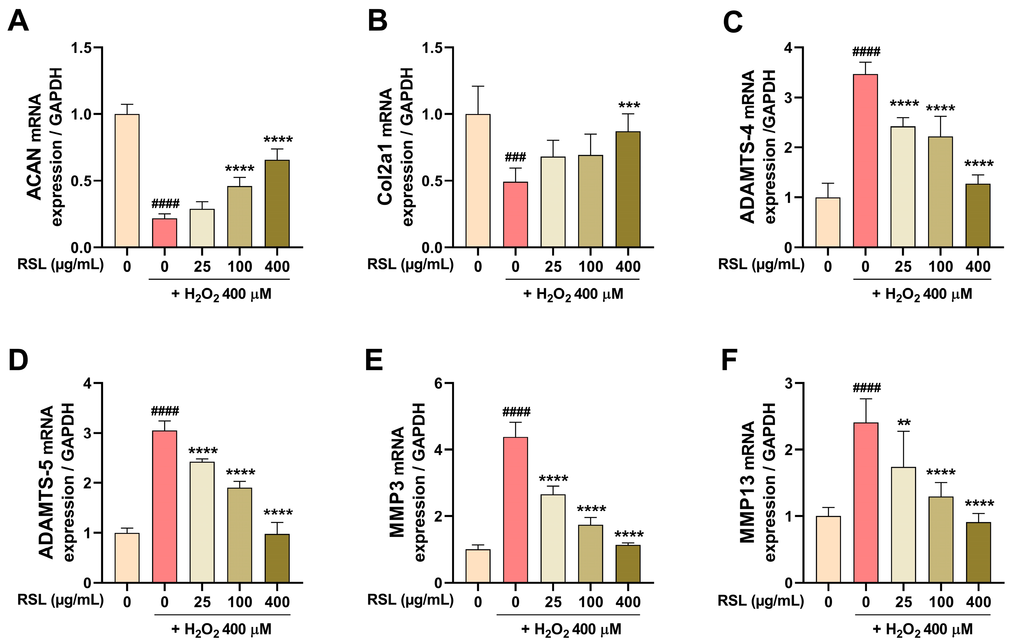 Biology 13 00602 g003