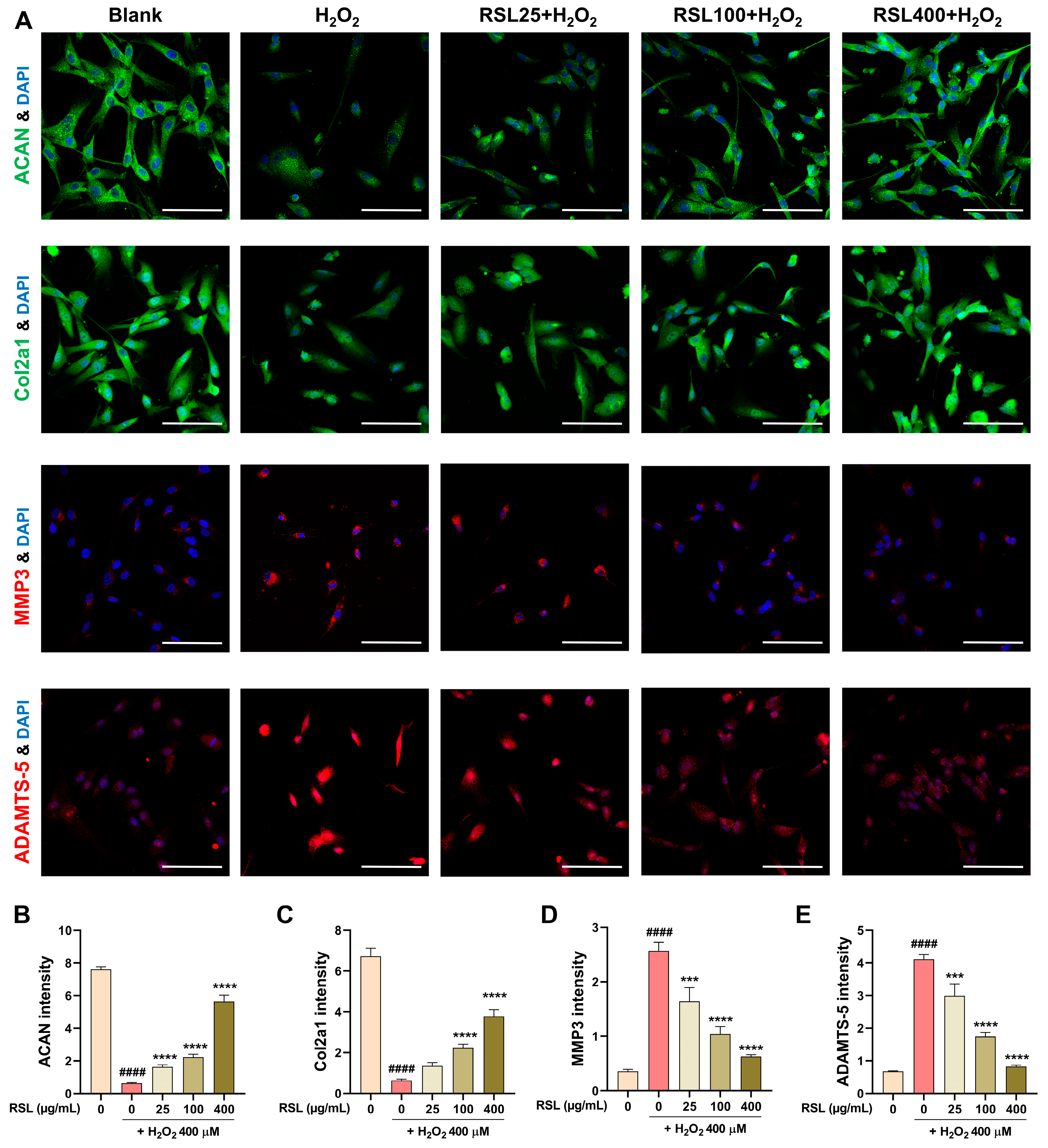 Biology 13 00602 g004
