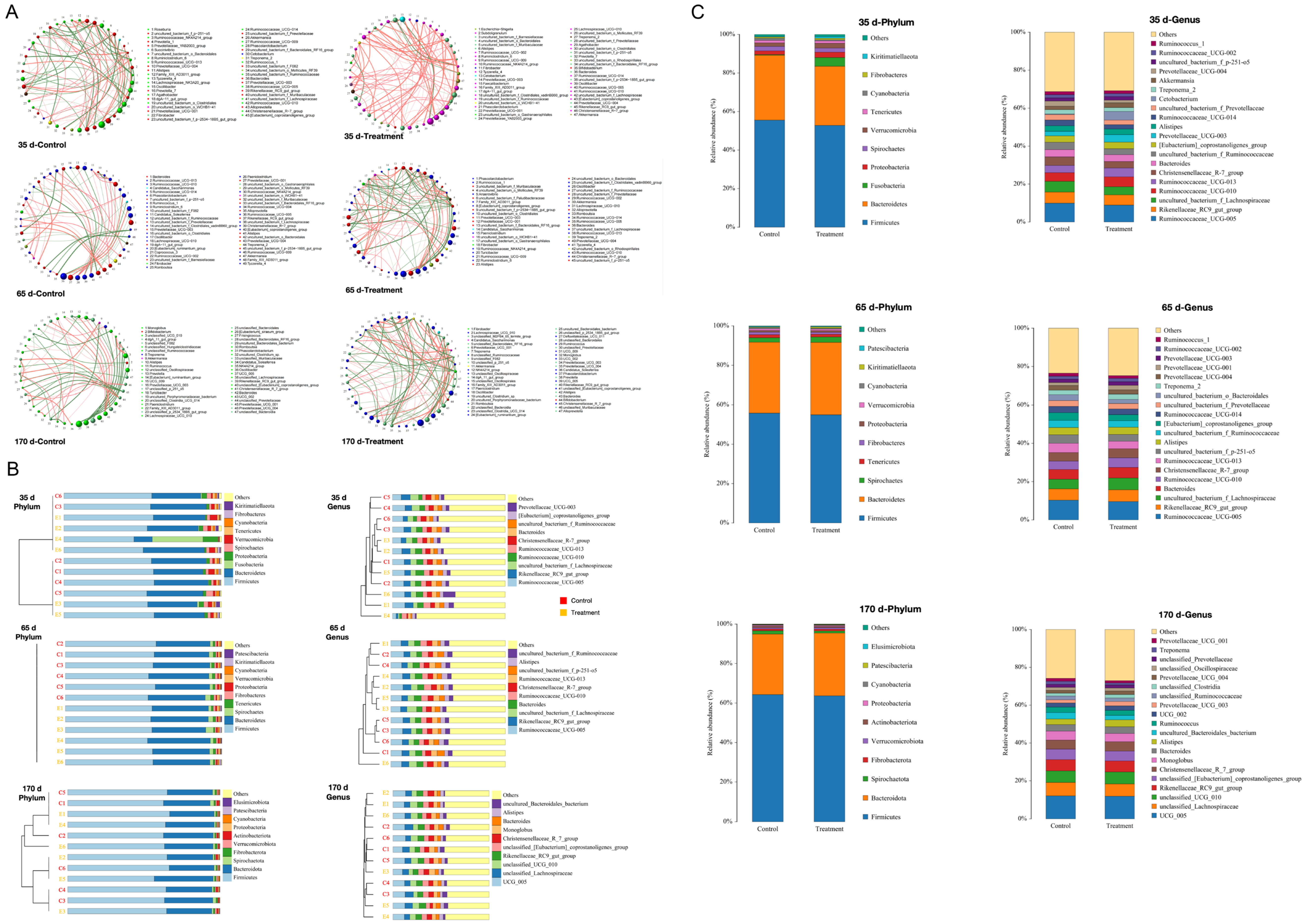 Biology 13 00603 g004 Biology 13 00603 g004