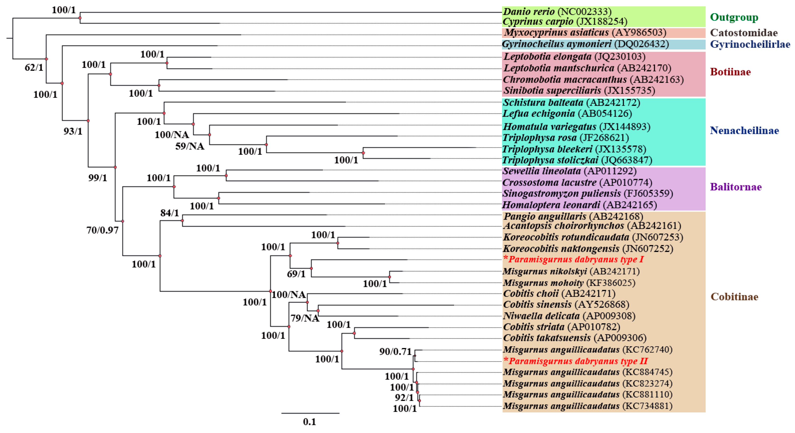 Biology 13 00604 g003 Biology 13 00604 g003